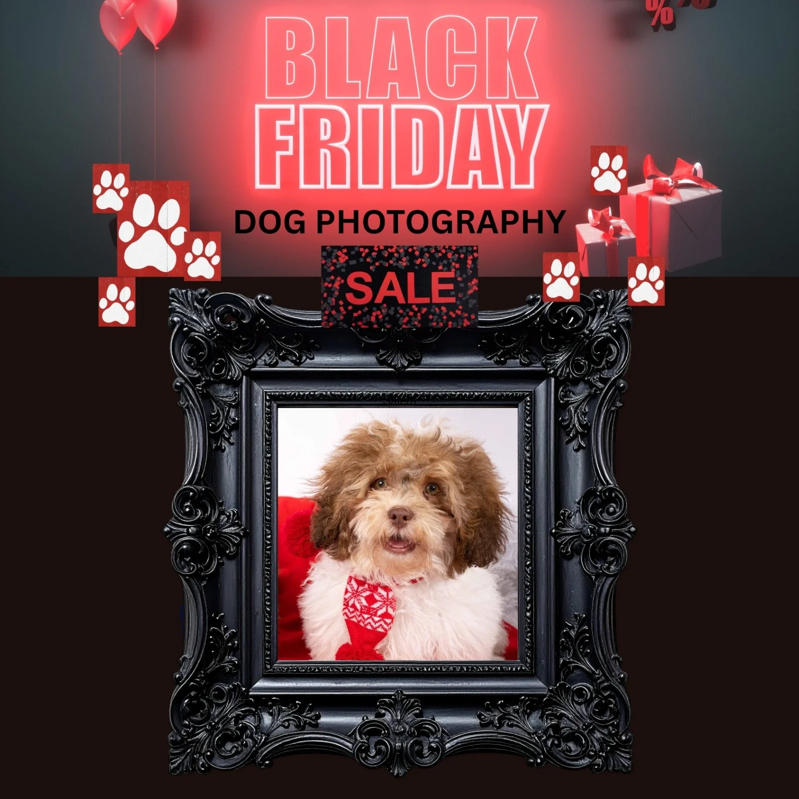 WhatsApp Image 2025-11-19 at 20.19.25.jpeg