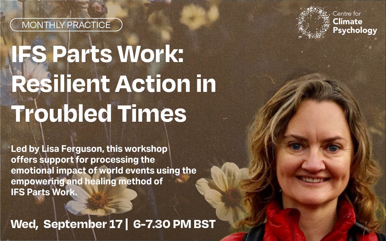 IFS Parts Work: Resilient Action in Troubled Times