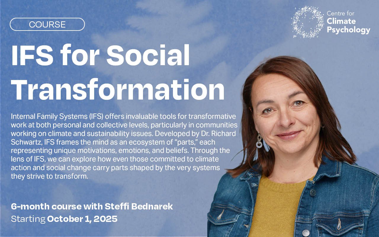 IFS for Social Transformation 2025-2026