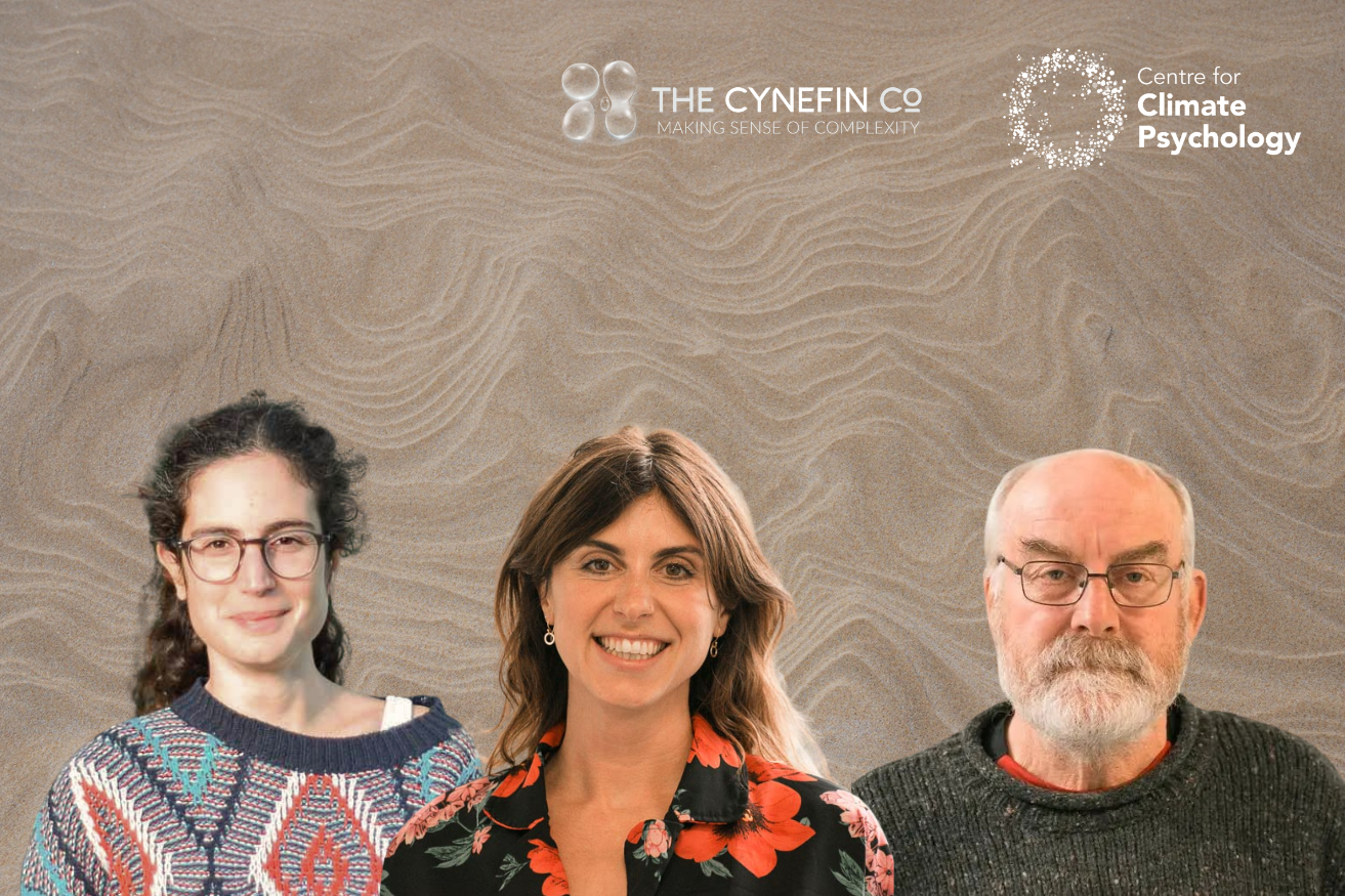 Complexity, Story, and Sense-Making in Uncertain Times with The Cynefin Company