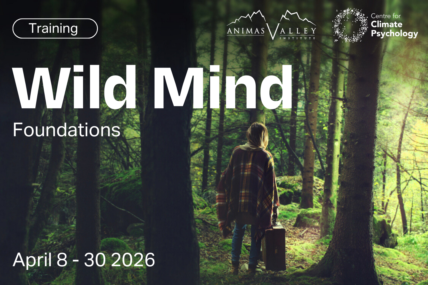 Wild Mind: Foundations