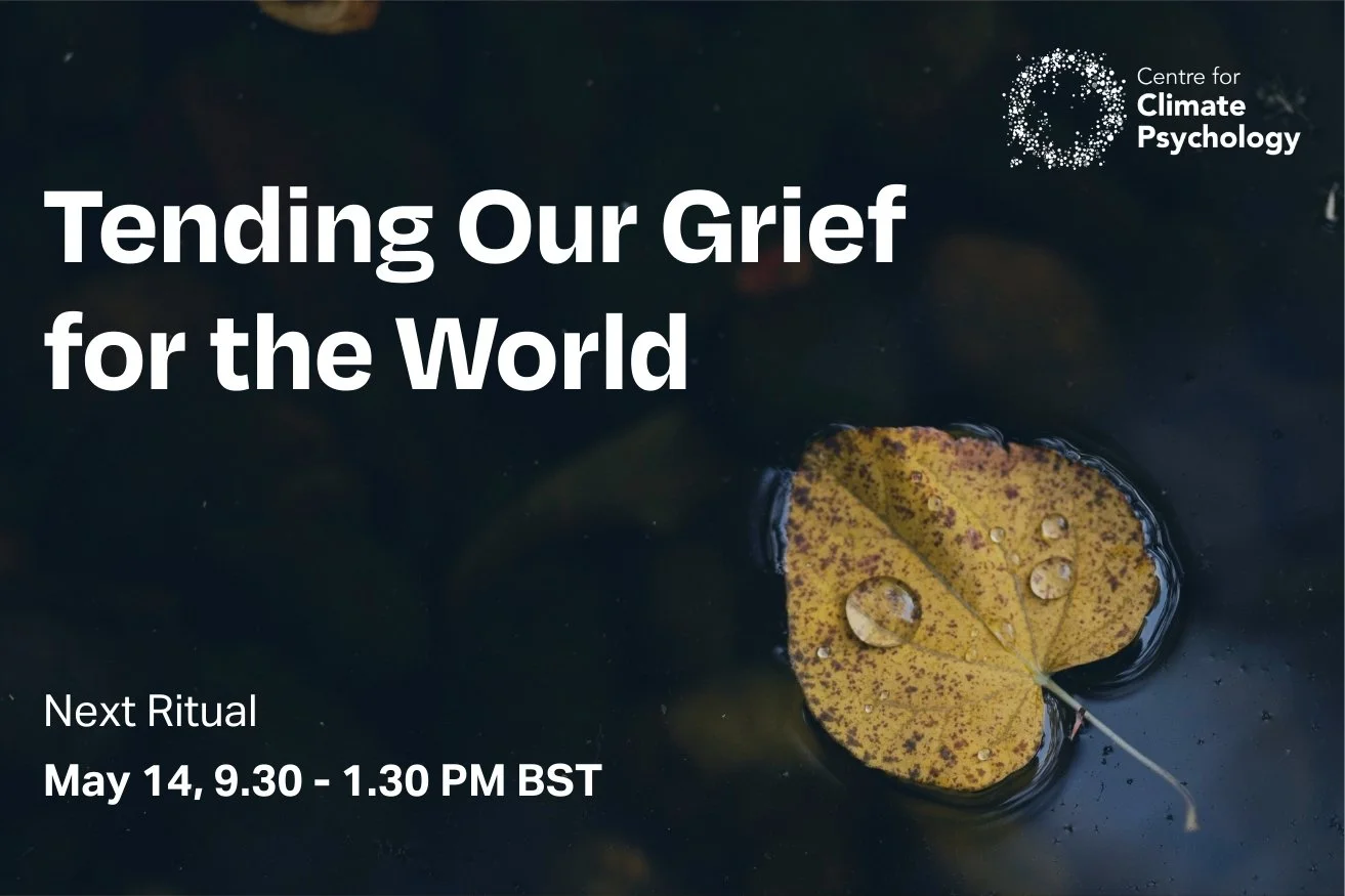 Tending our Grief for the World