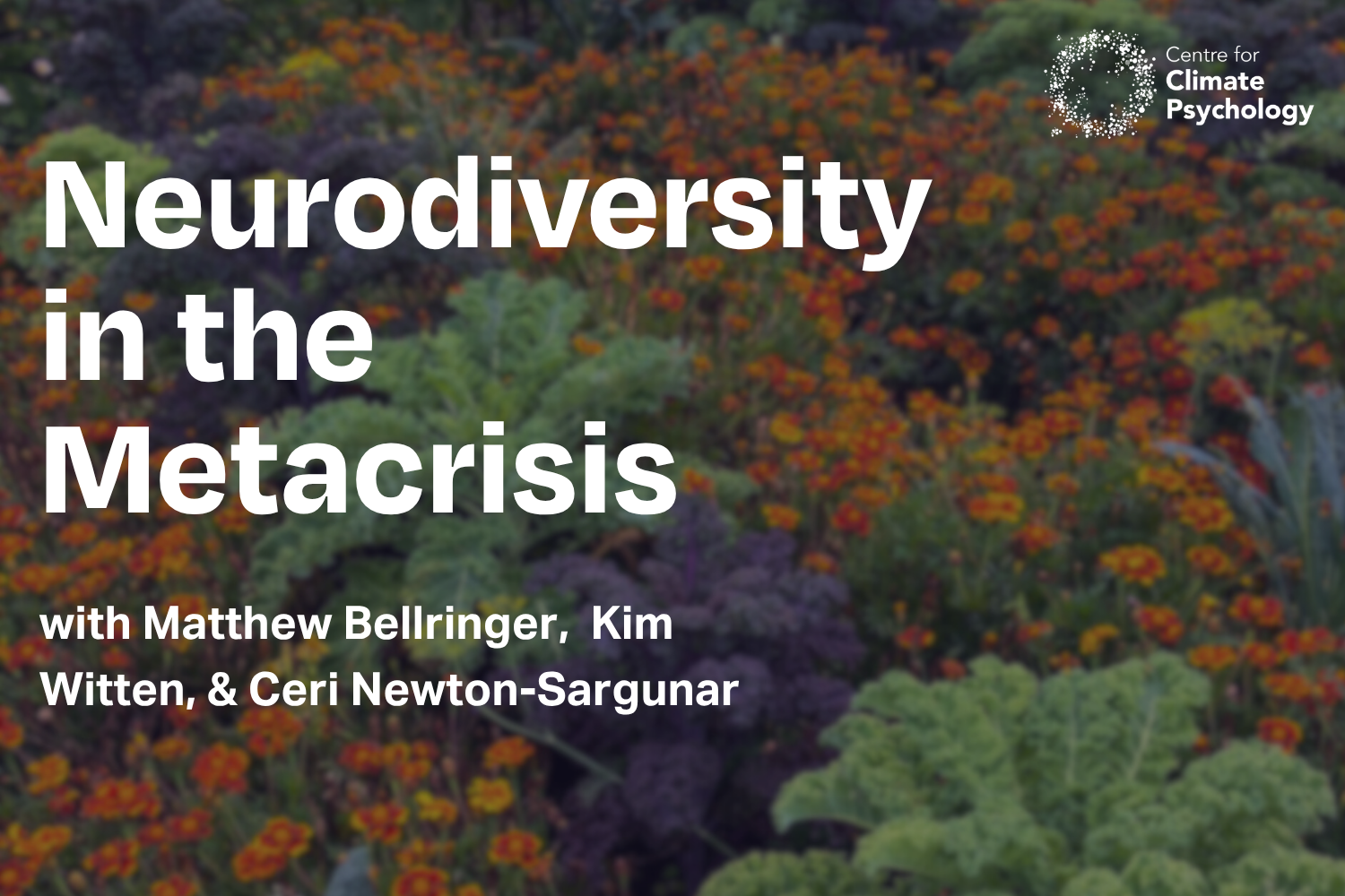 Neurodiversity in the Metacrisis