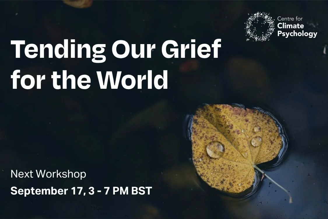 Tending our Grief for the World