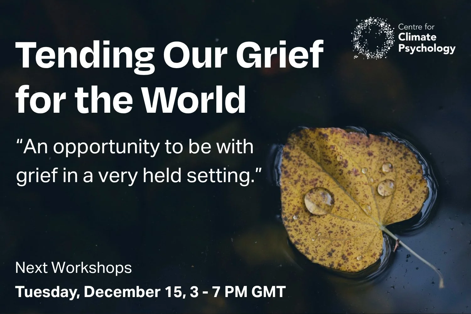 Tending our Grief for the World