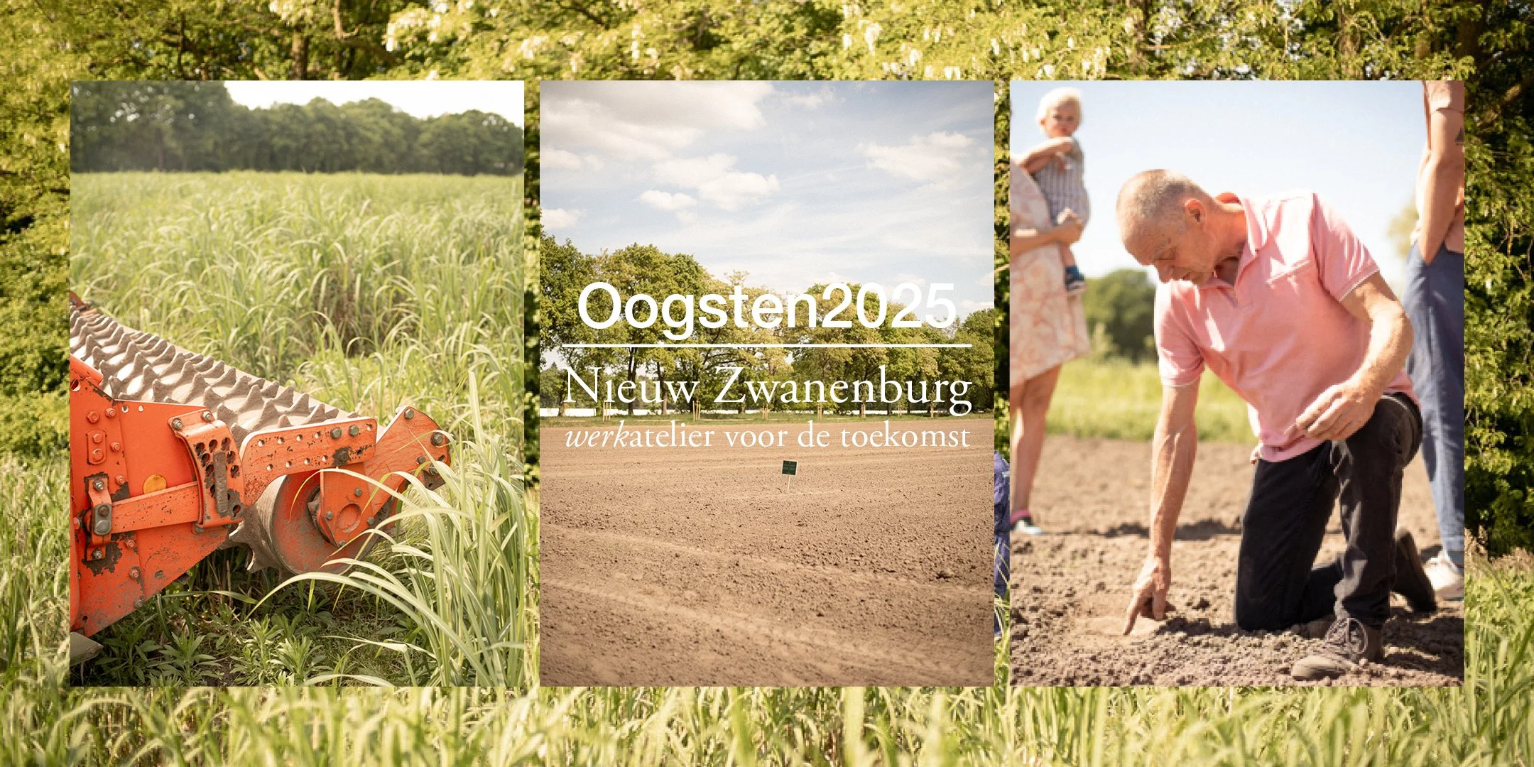 Oogsten2025 Eventbrite banners.jpg