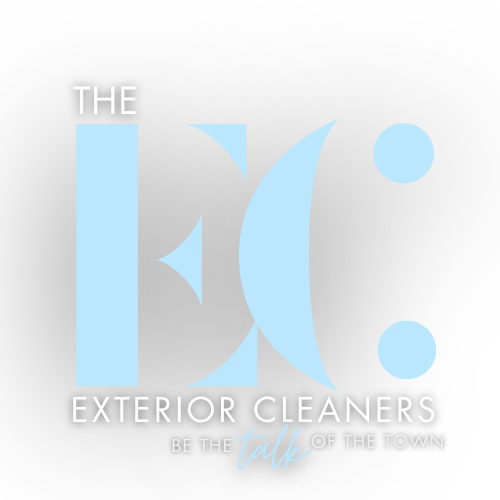    The Exterior Cleaners