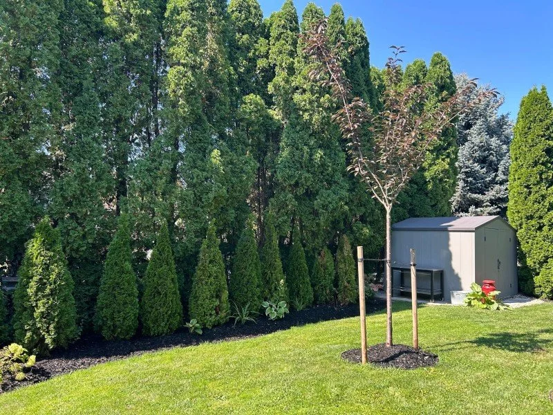 Gauld Landscape Design - Filo Costa