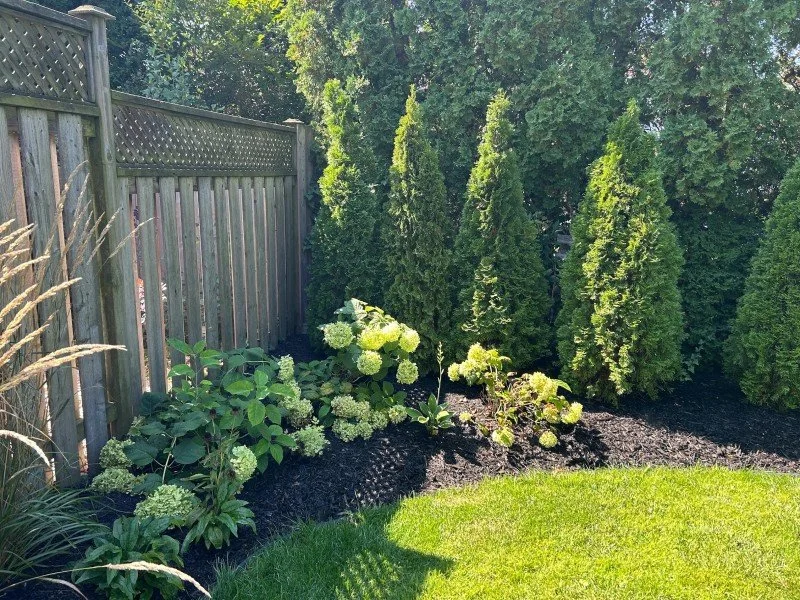 Garden planting and landscape design by Gauld Nurseries