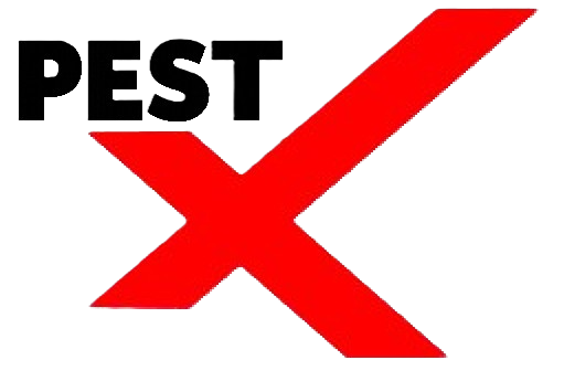 PestX_Team-nb(2).png