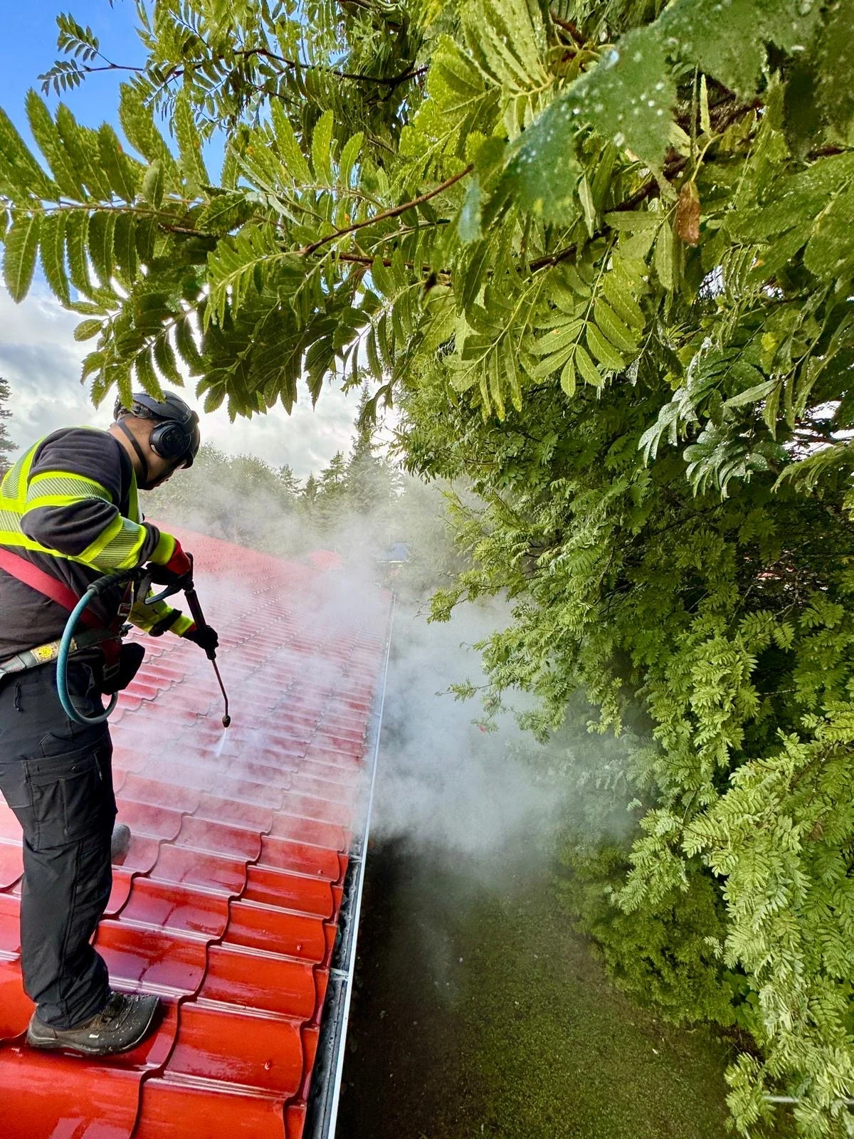 Palosäiliöä pesenävä mies talon katolla, ympärillä vihreitä puita, yläpuolella sininen taivas.