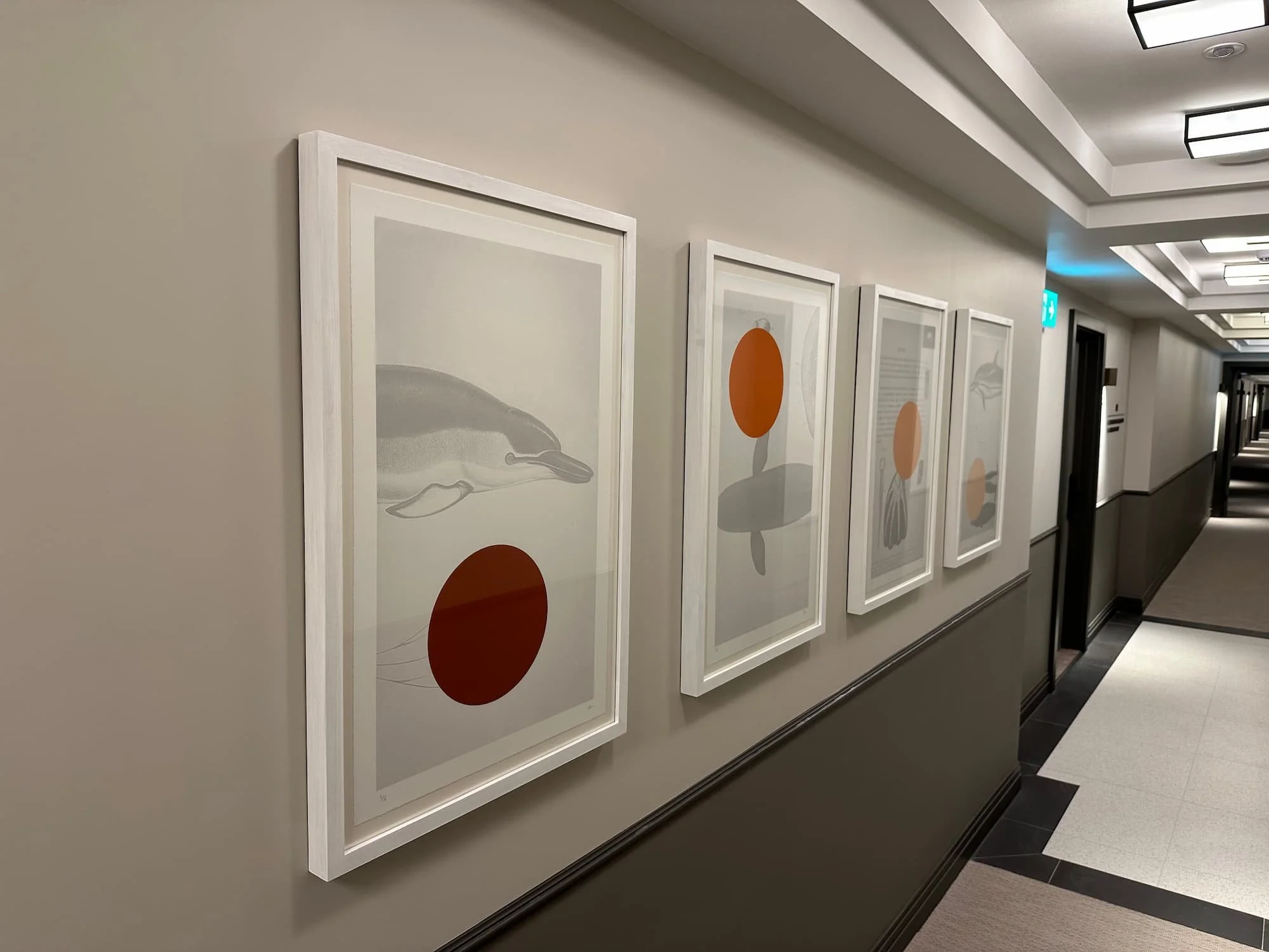 professional picture hanging Pimlico 2.jpg.jpg