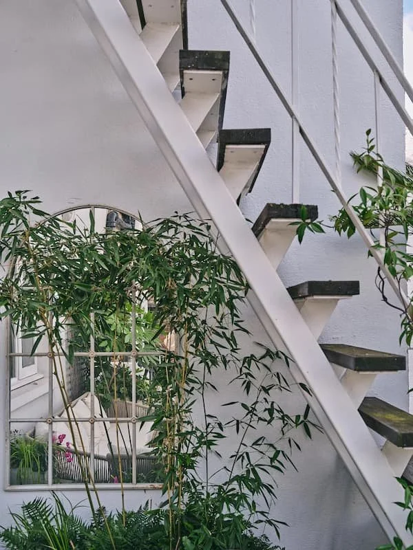 Mirror hanging in London garden