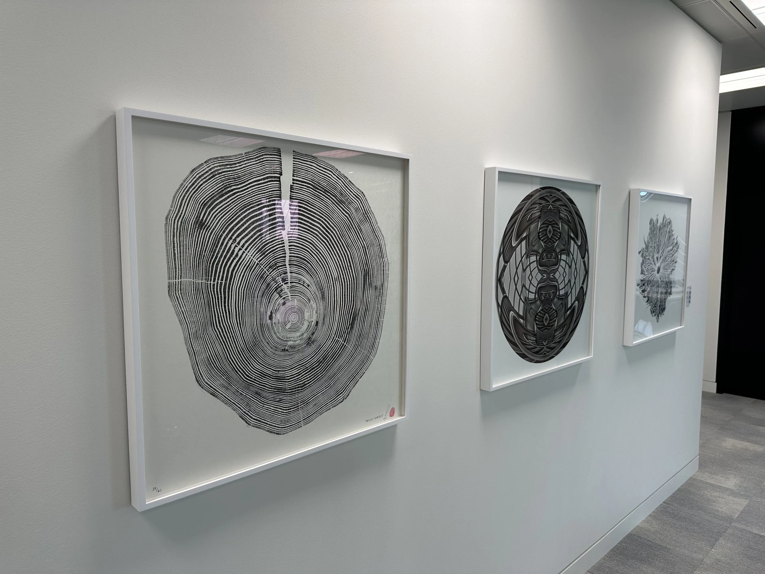Three framed abstract artworks hung on a white gallery wall, featuring black and white patterns and designs.