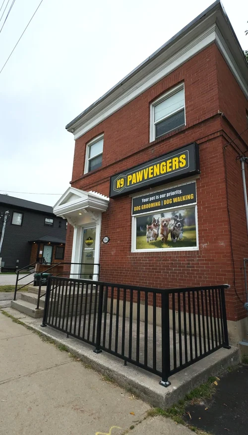 K9 Pawvengers, Innisfil dog grooming listing photo