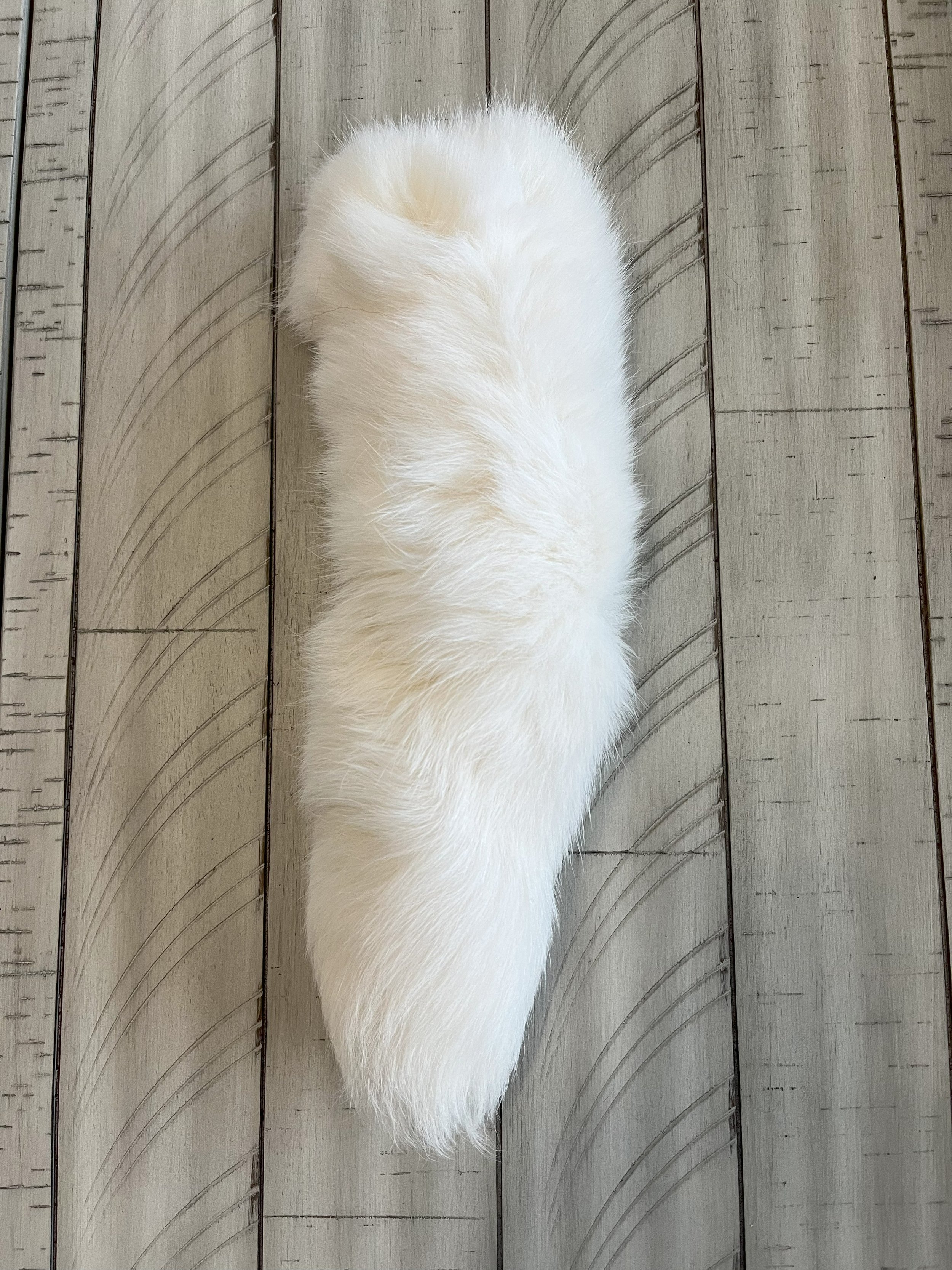 Fox Tail - white