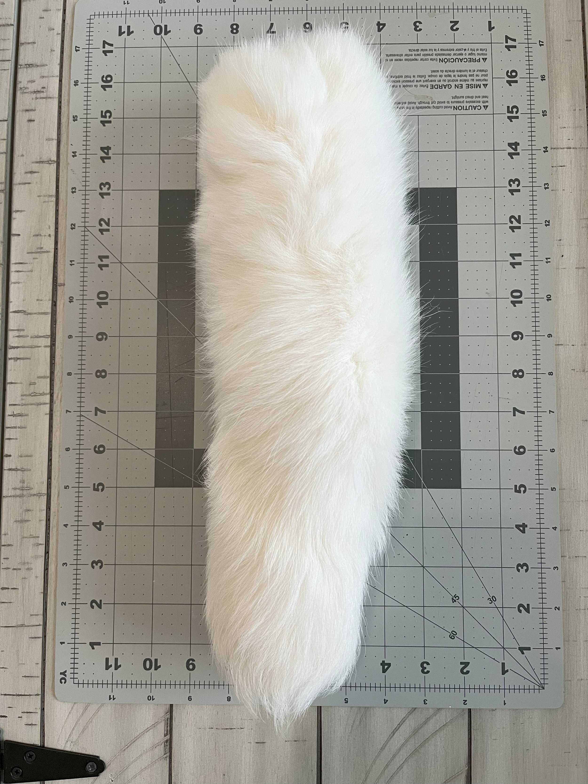 white fox2.jpg