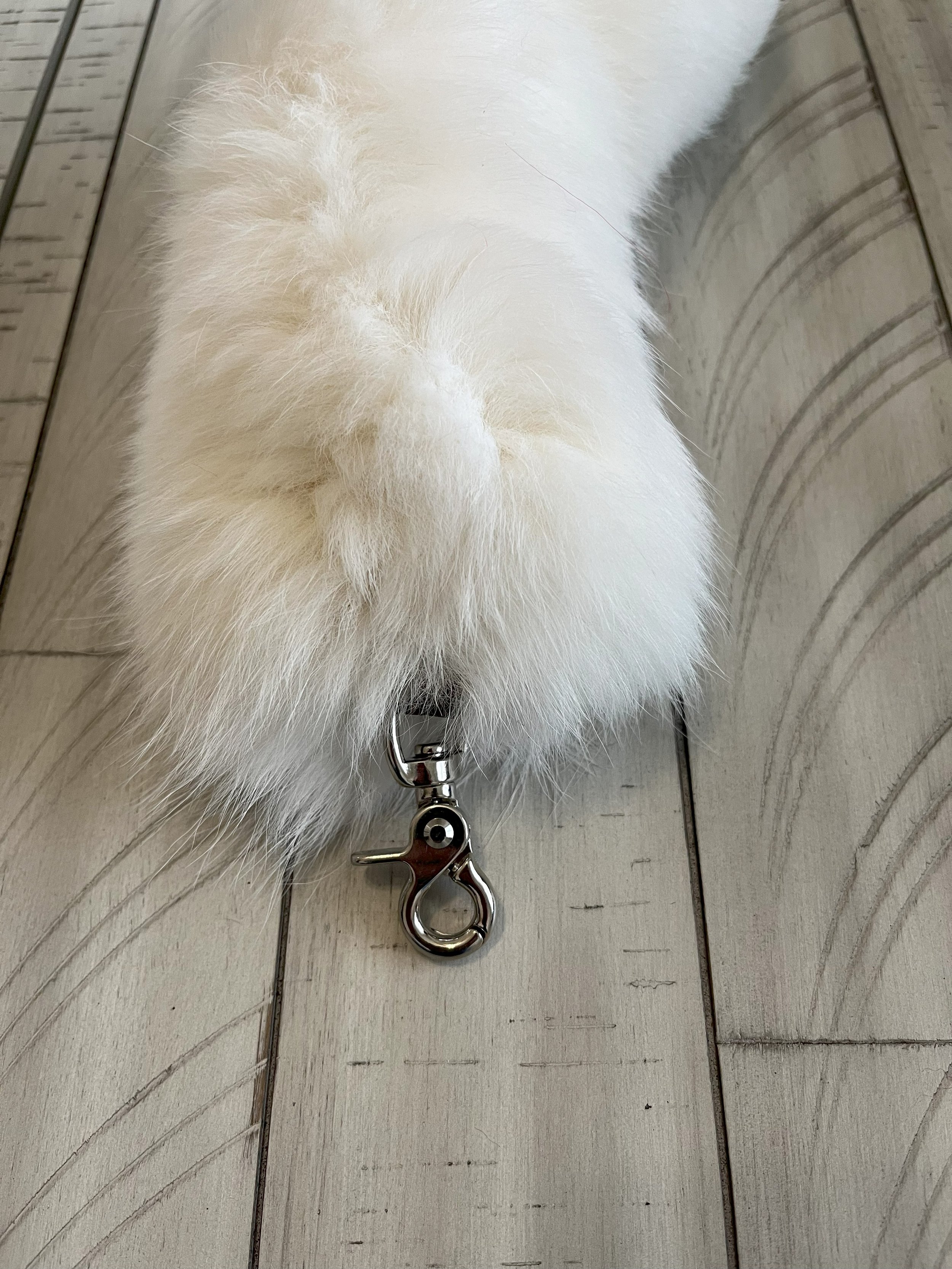 white foxclasp.jpg