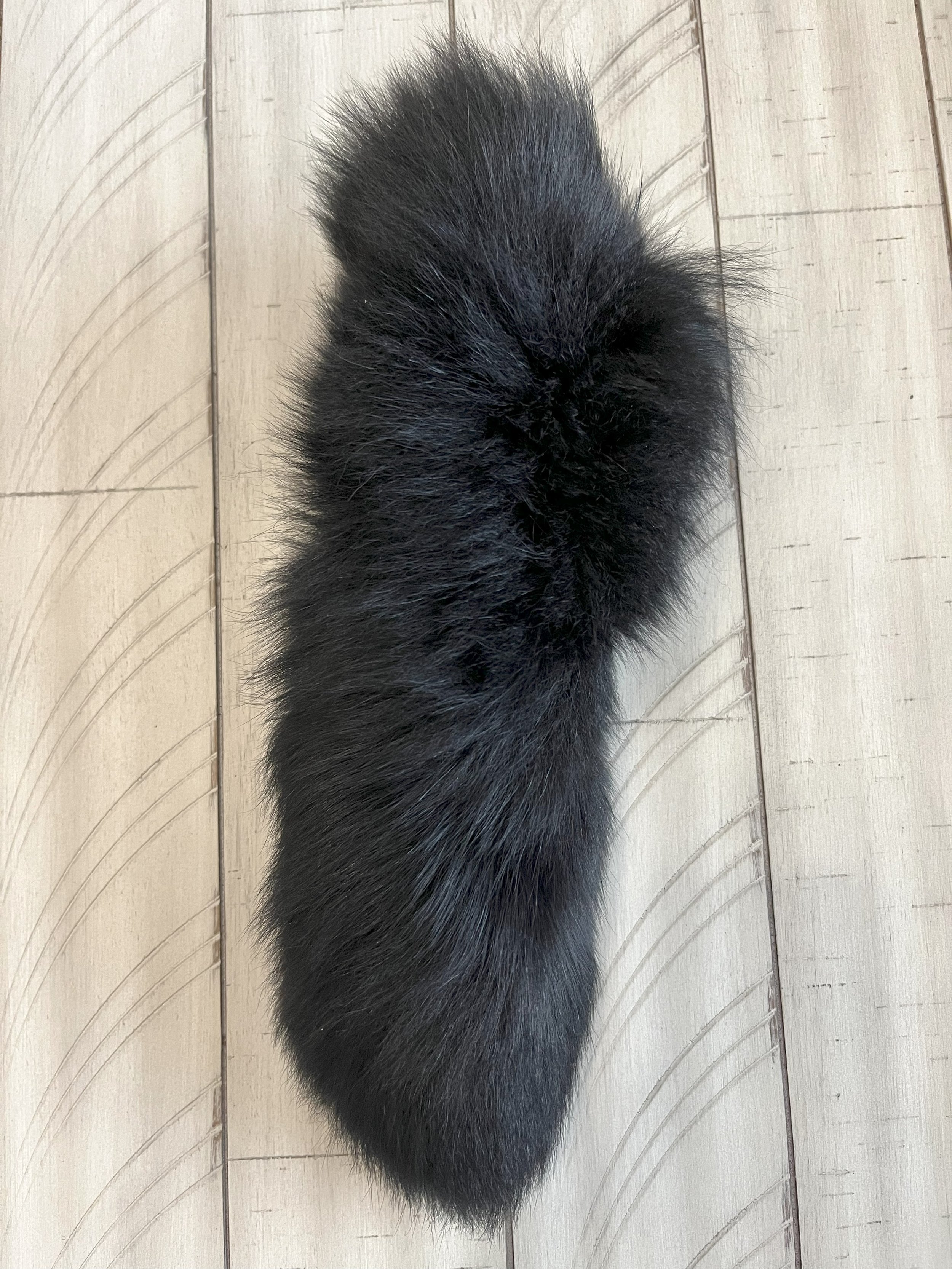 Fox Tails Colors