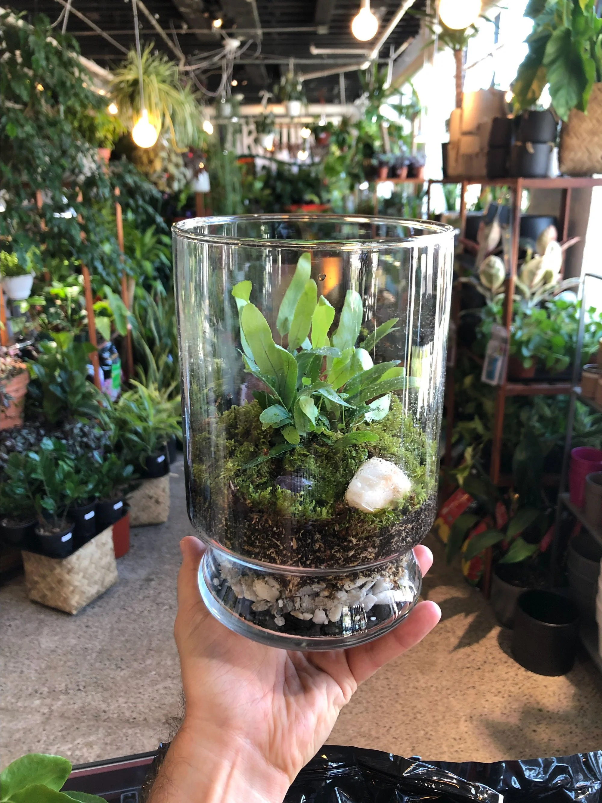 Succulent Garden Class with Daddy’s Plants