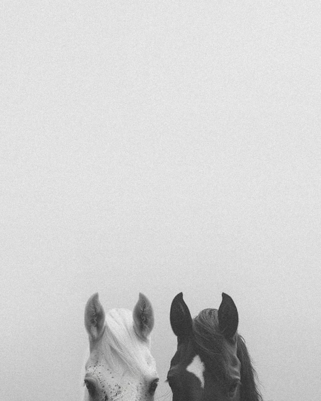 BW IG NEW FORMAT.png