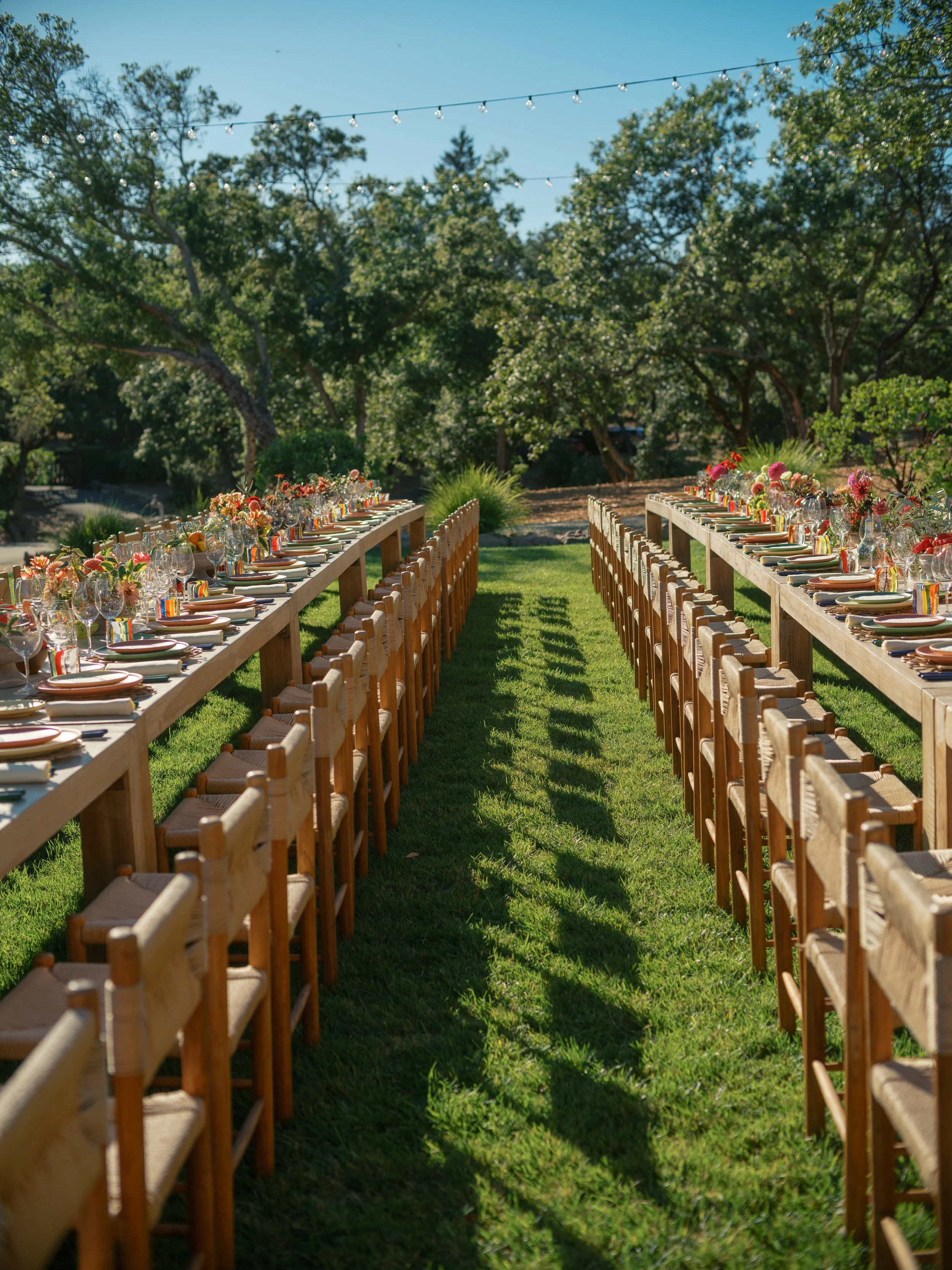 amanda crean 0202.jpg