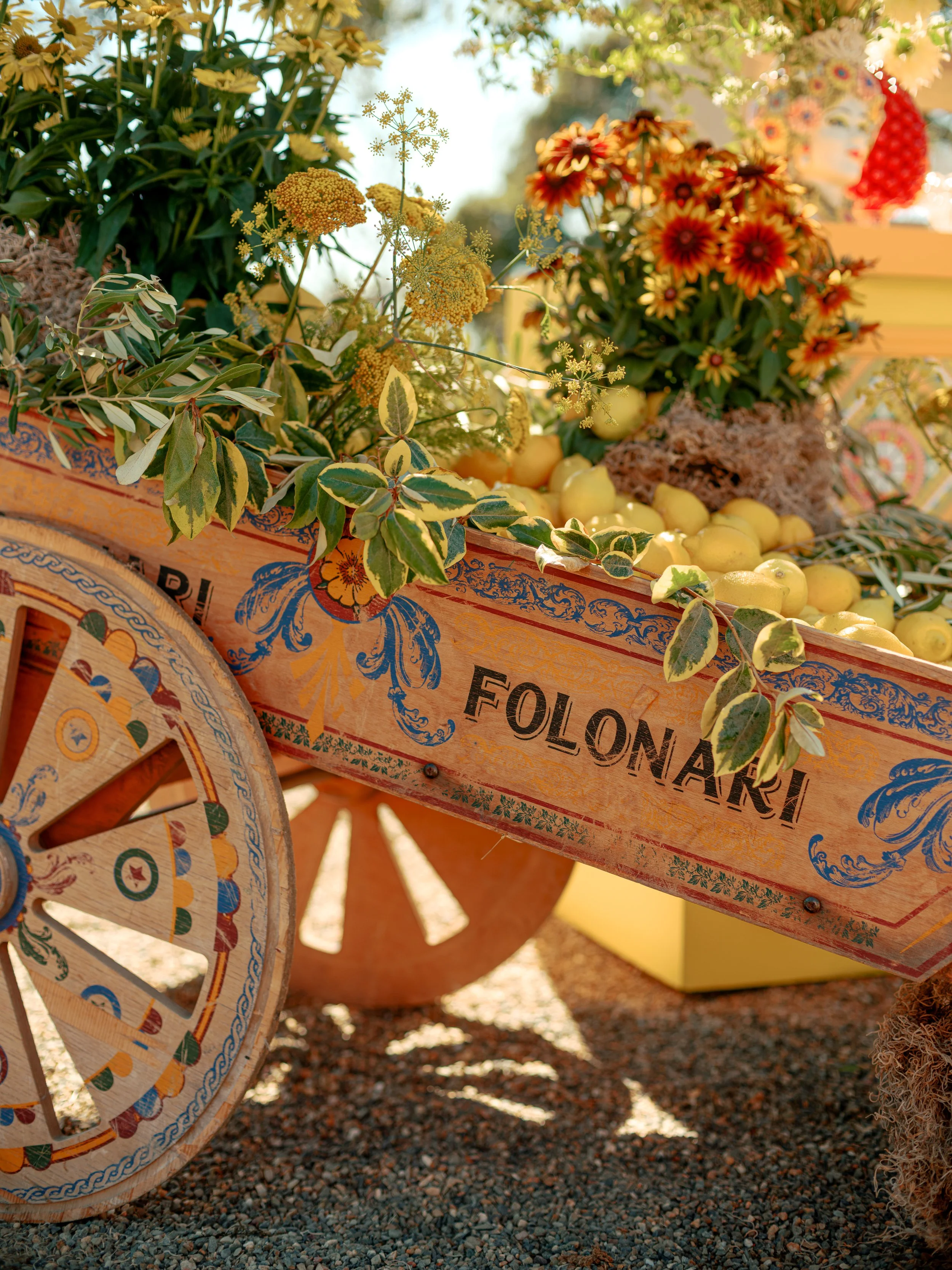 amanda crean 0029.jpg