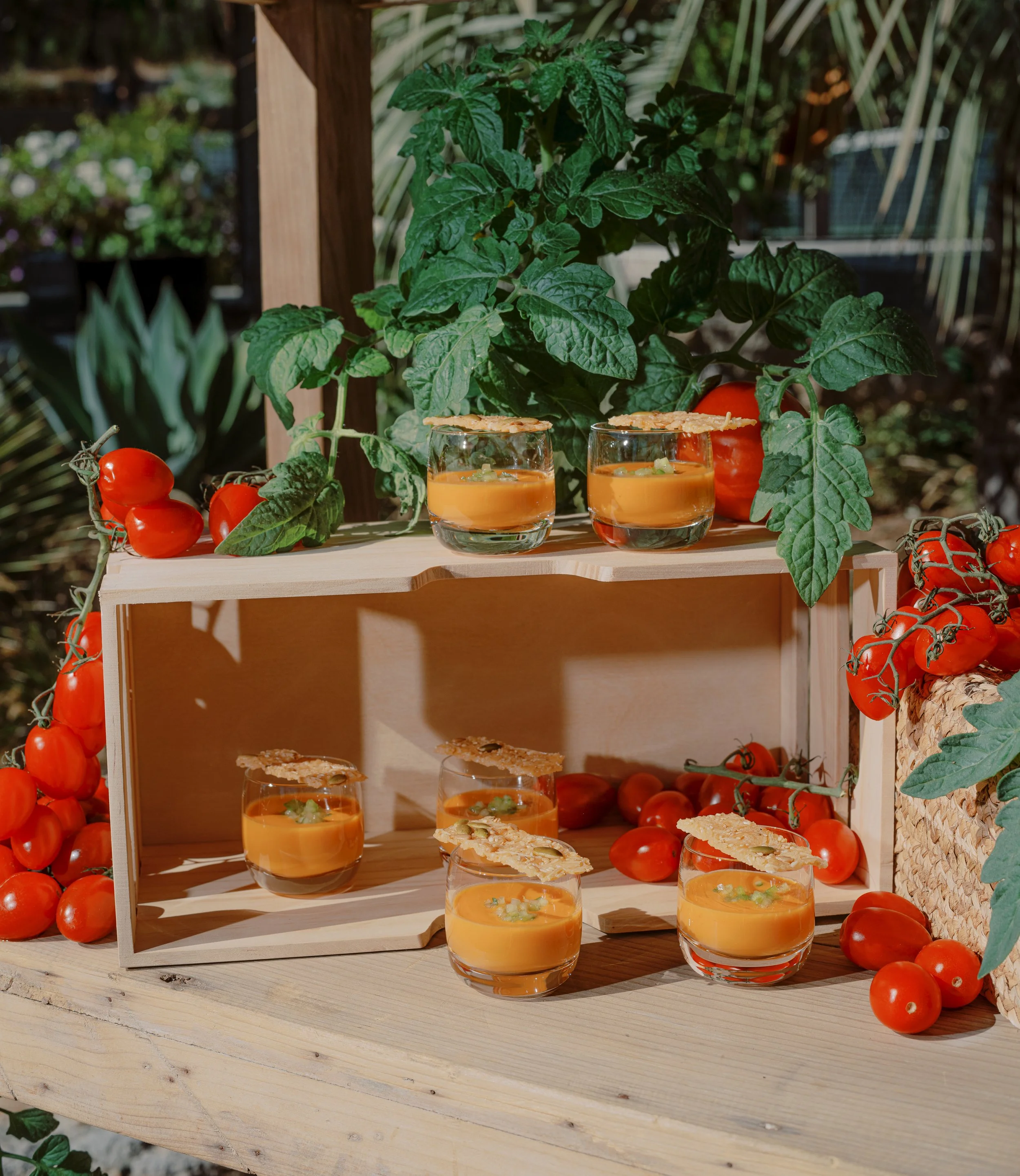 amanda crean 0053.jpg