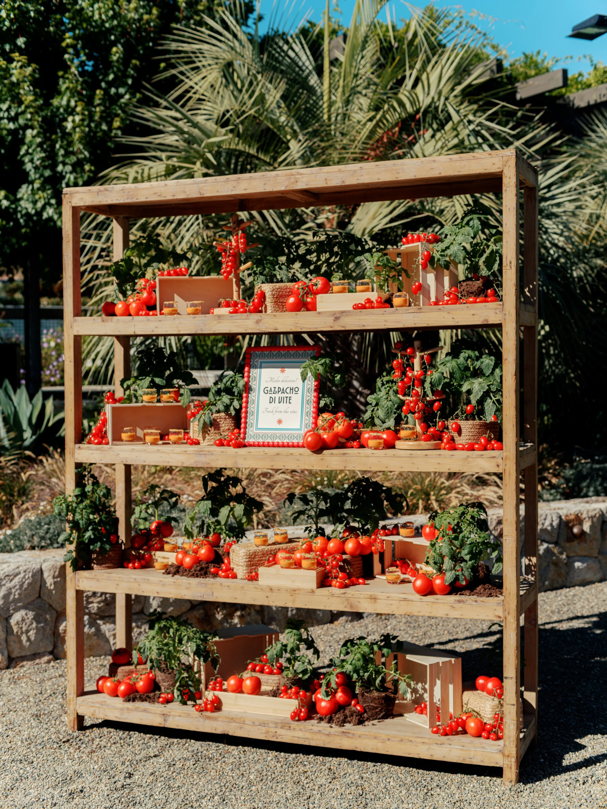 amanda crean 0057.jpg