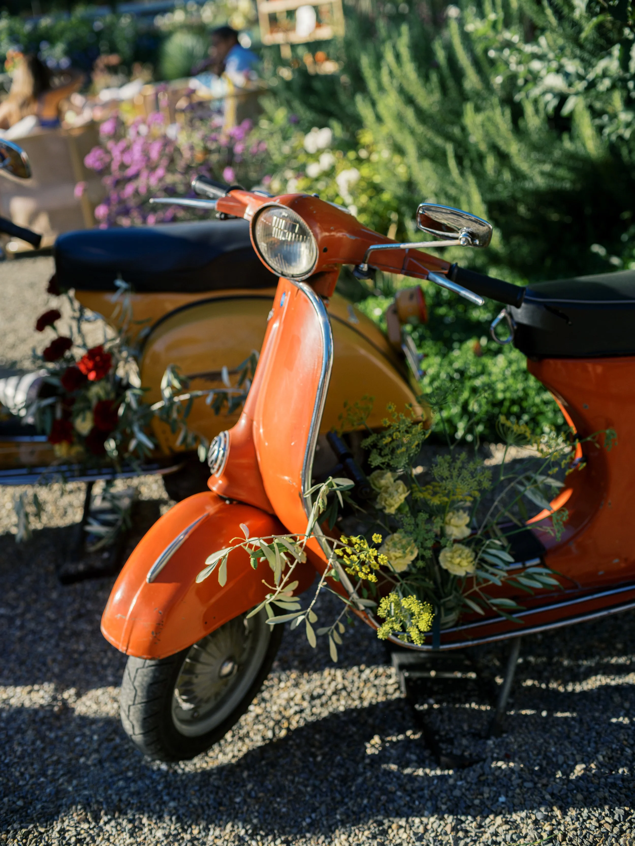 amanda crean 0221.jpg