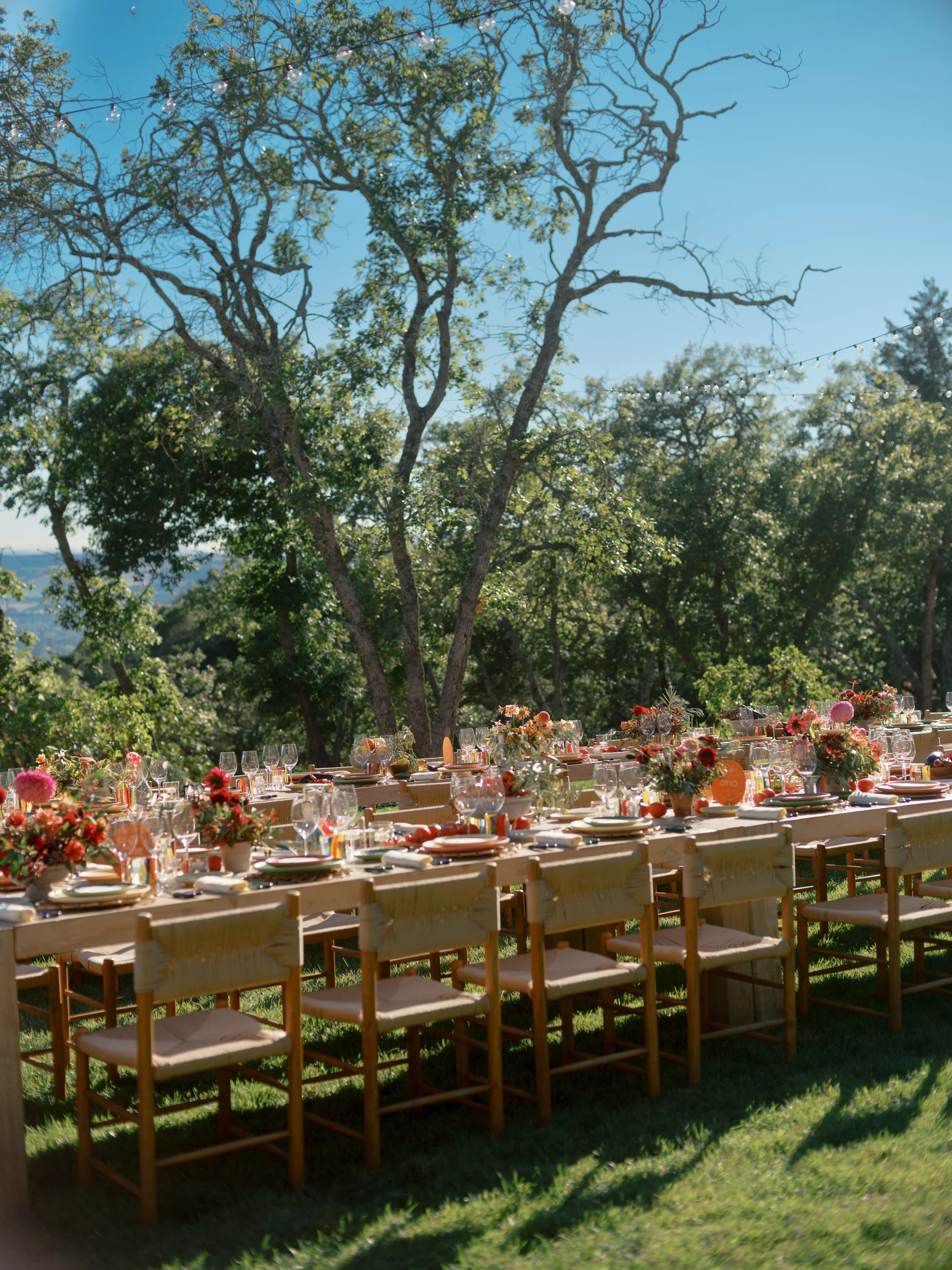 amanda crean 0199.jpg