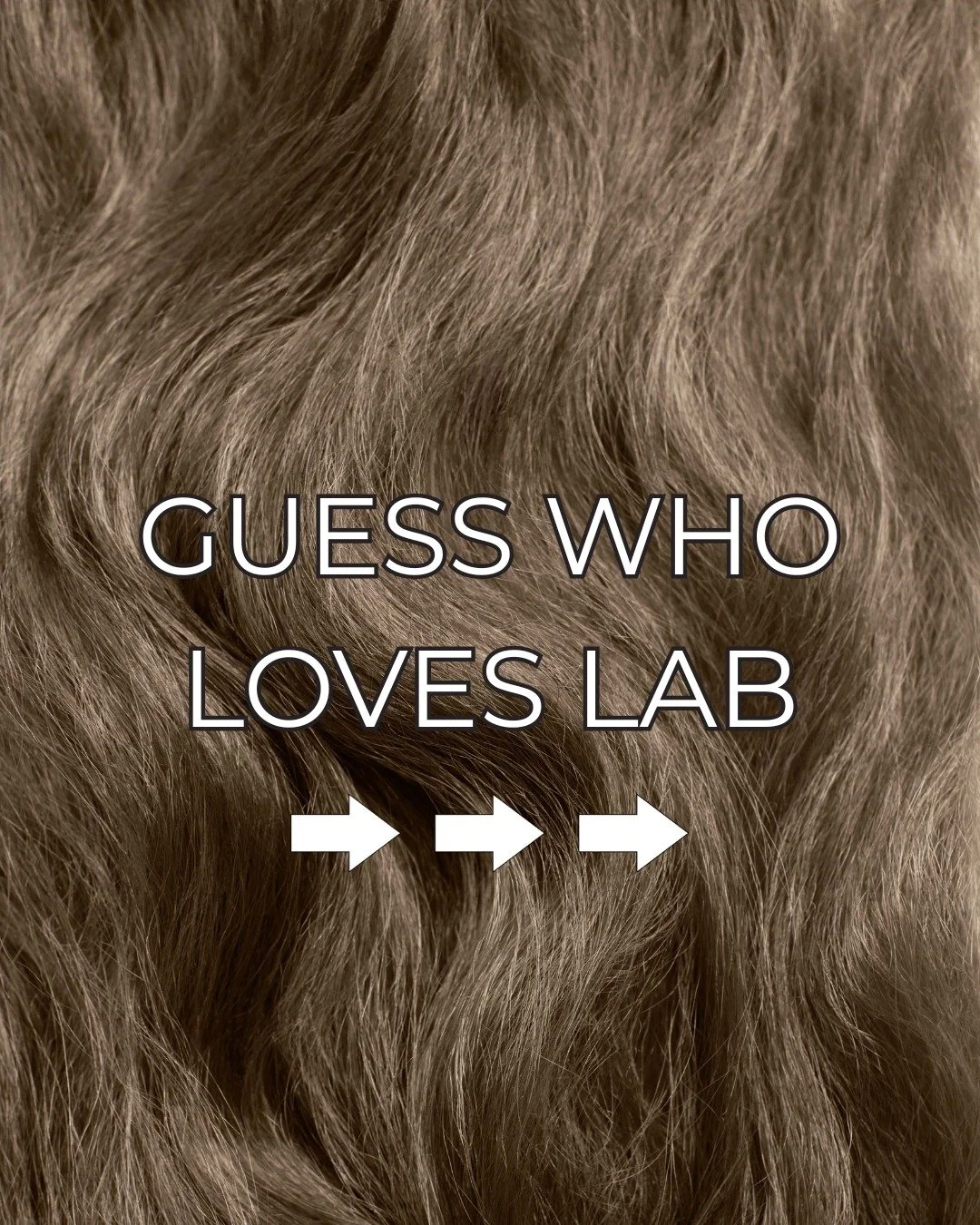 We're longtime fans of hers, but she just became a fan of us! @janethubertformyfanspage shares her thoughts on LAB braiding hair. Thank you, Janet!