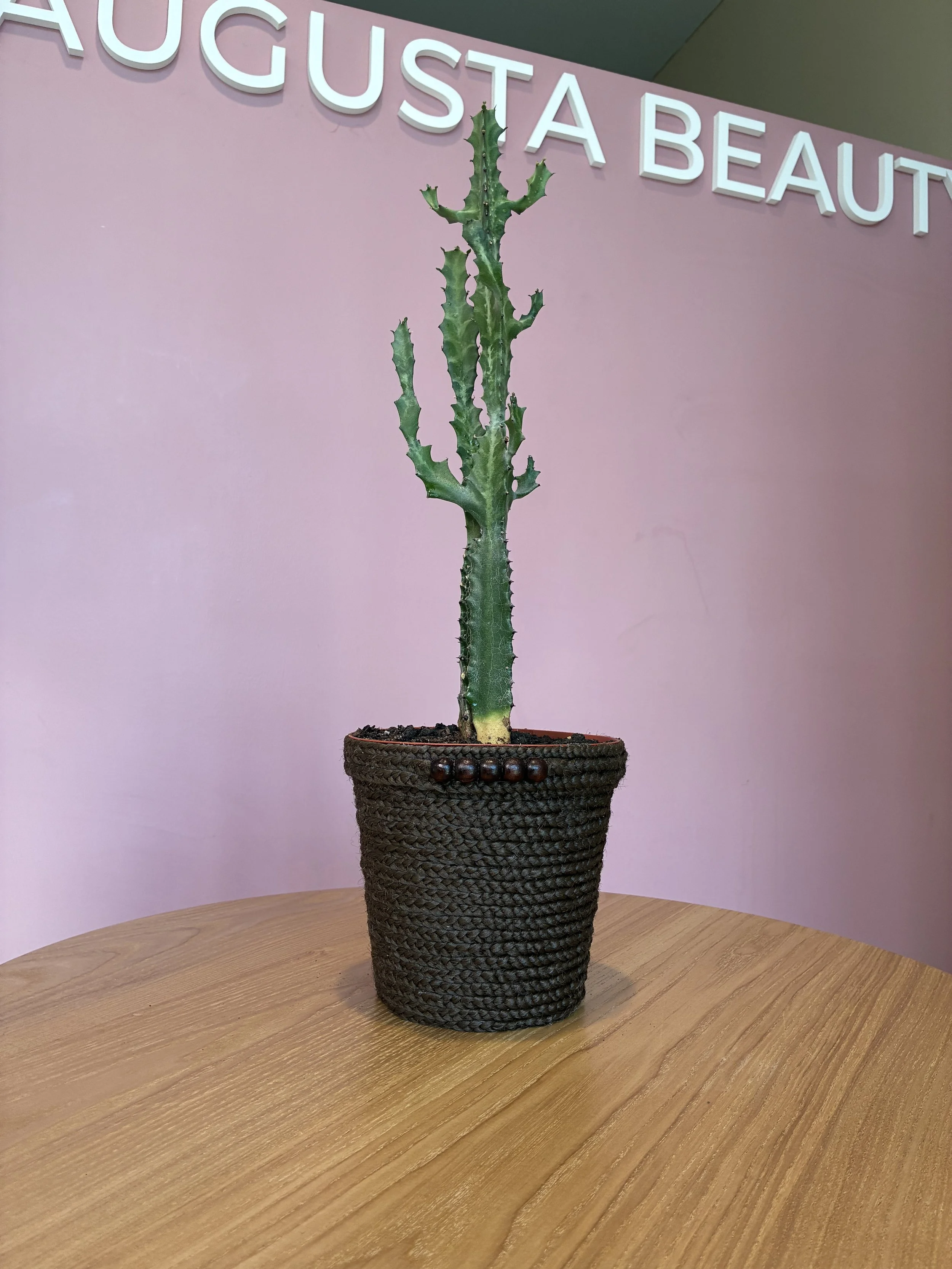 Braided Flower Pot