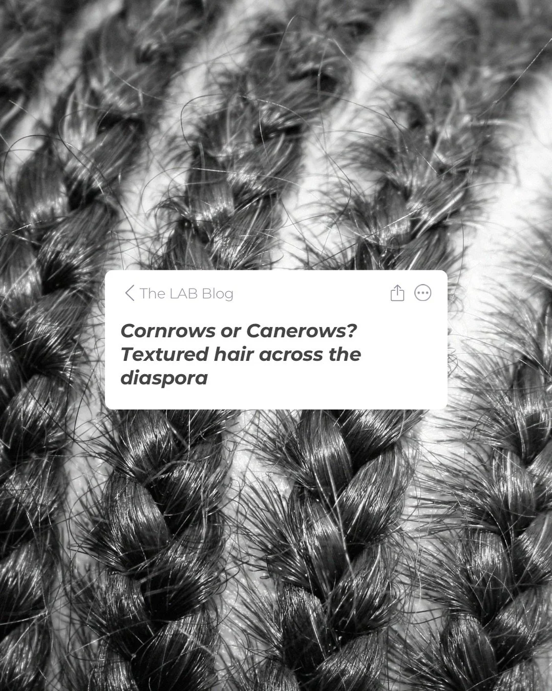 Cornrows or canerows? Textured hair across the diaspora. What do you call this style where you live?

Read the full blog at hairwithoutharm.com.
