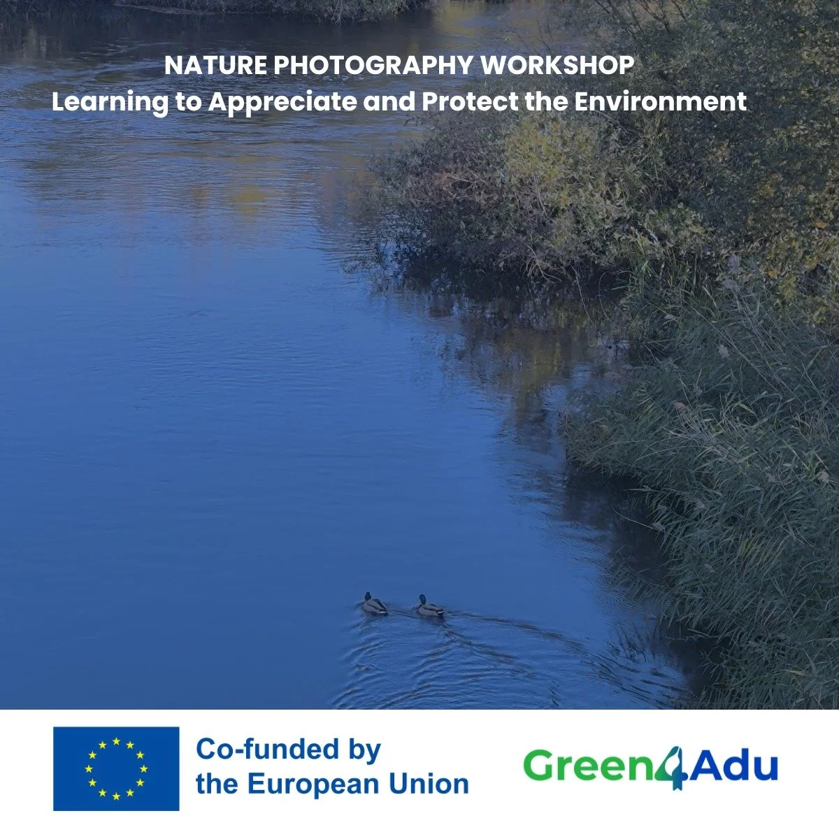 We stepped back to reconnect with nature 🌿

Together with our partners, we organised a nature photography workshop designed to inspire a more mindful way of seeing. Instead of taking quick photos to share and forget, participants were encouraged to 