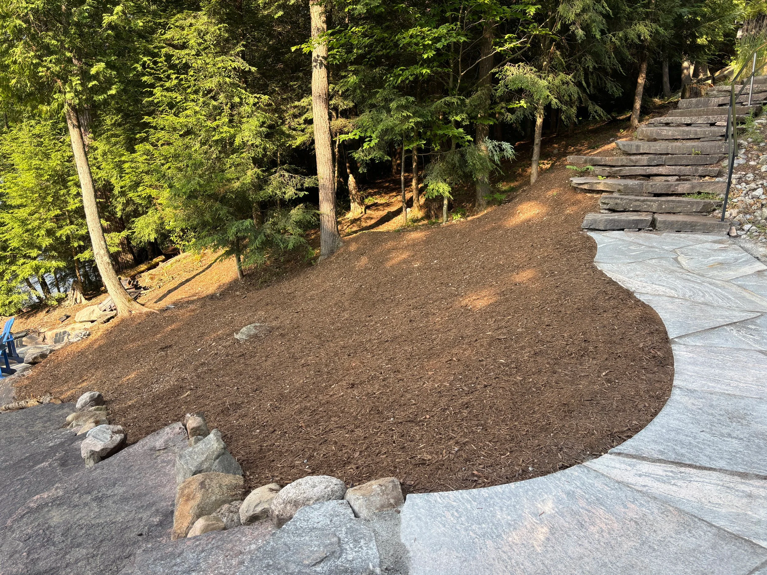 Before- Shoreline naturalization site preparation in Haliburton, Ontario. Removed roots, leveled and mulched.