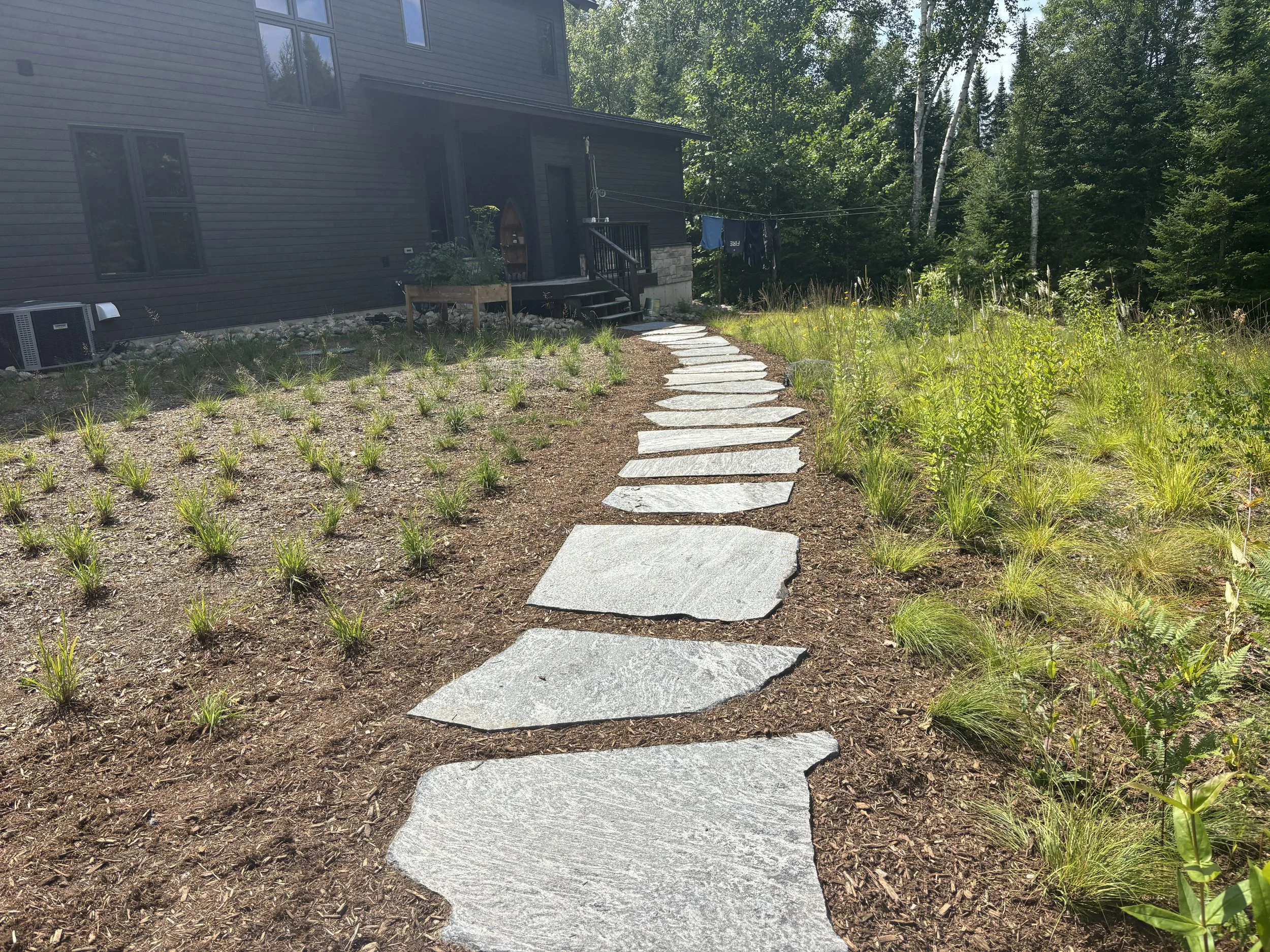 After-Ecological garden over septic. Using native grasses as a lawn alternative-  One year post installation (right side of path) and one month after installation (left side of path). 