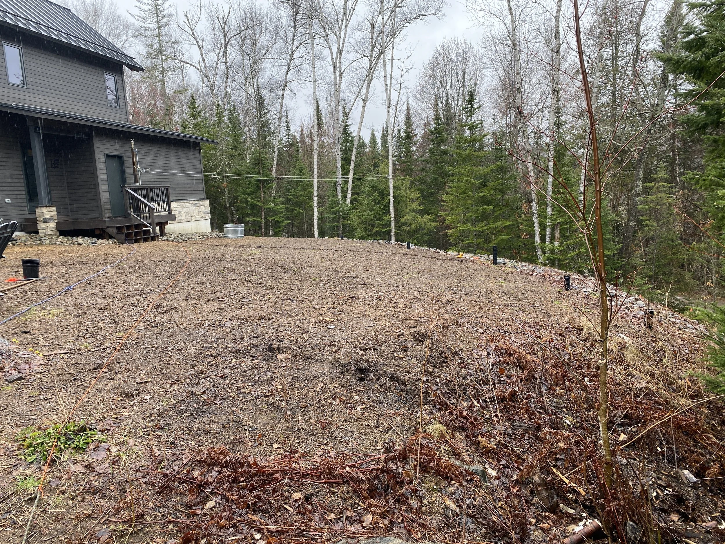 Before-Ecological garden over septic. Using native grasses as a lawn alternative.