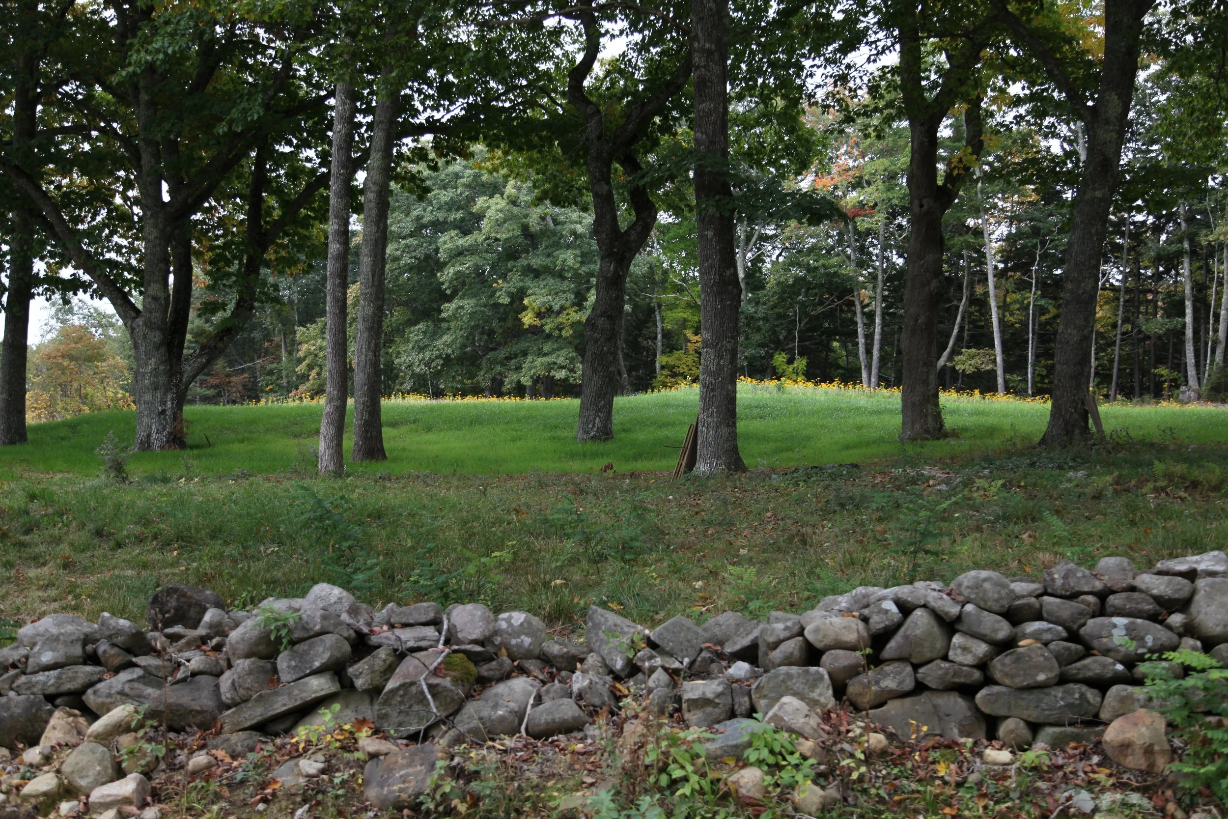 Aged field stone walls cover the property. They are preserved and highlighted in the planning process to keep the land connected to its rich cultural and geological history. 