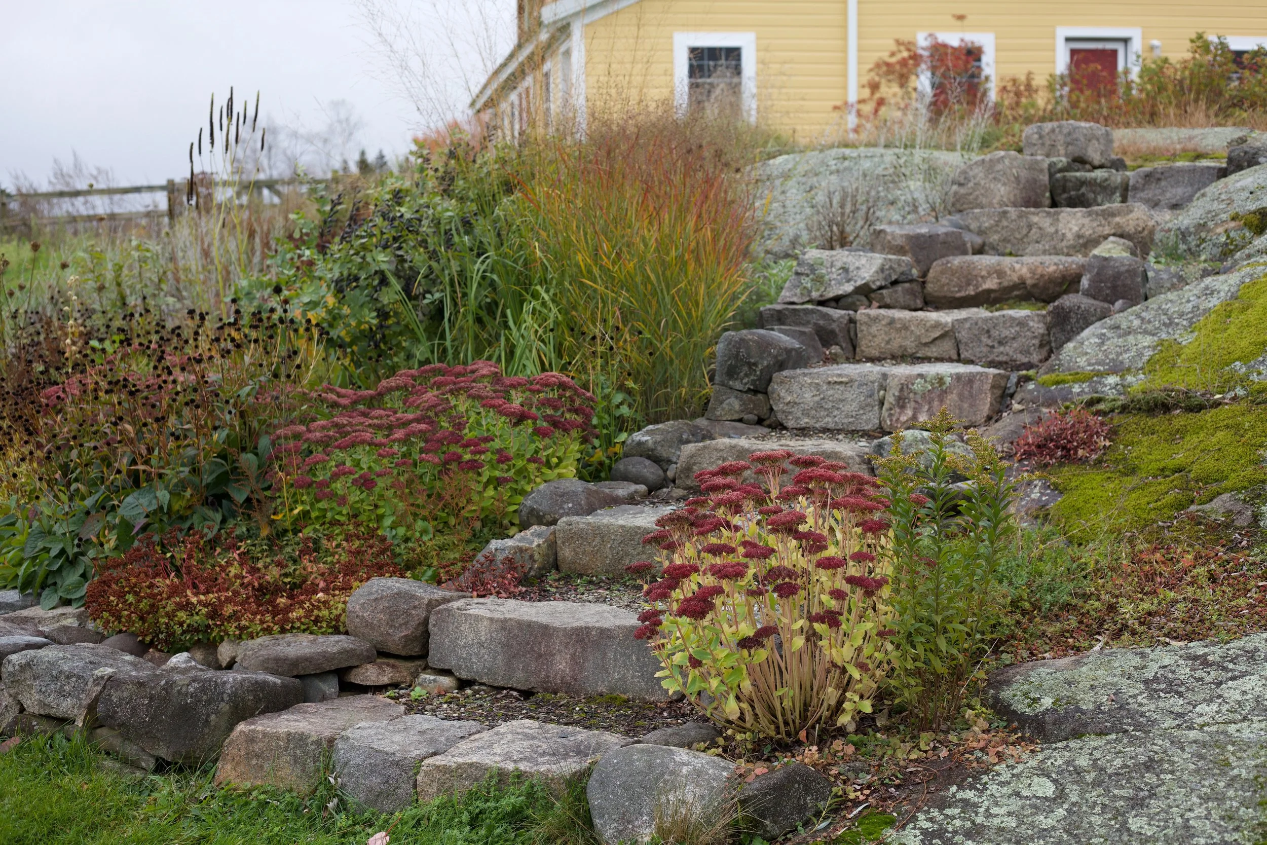 Granite steps climb up the ledge, weaving between pockets of perennials, grasses and mosses.