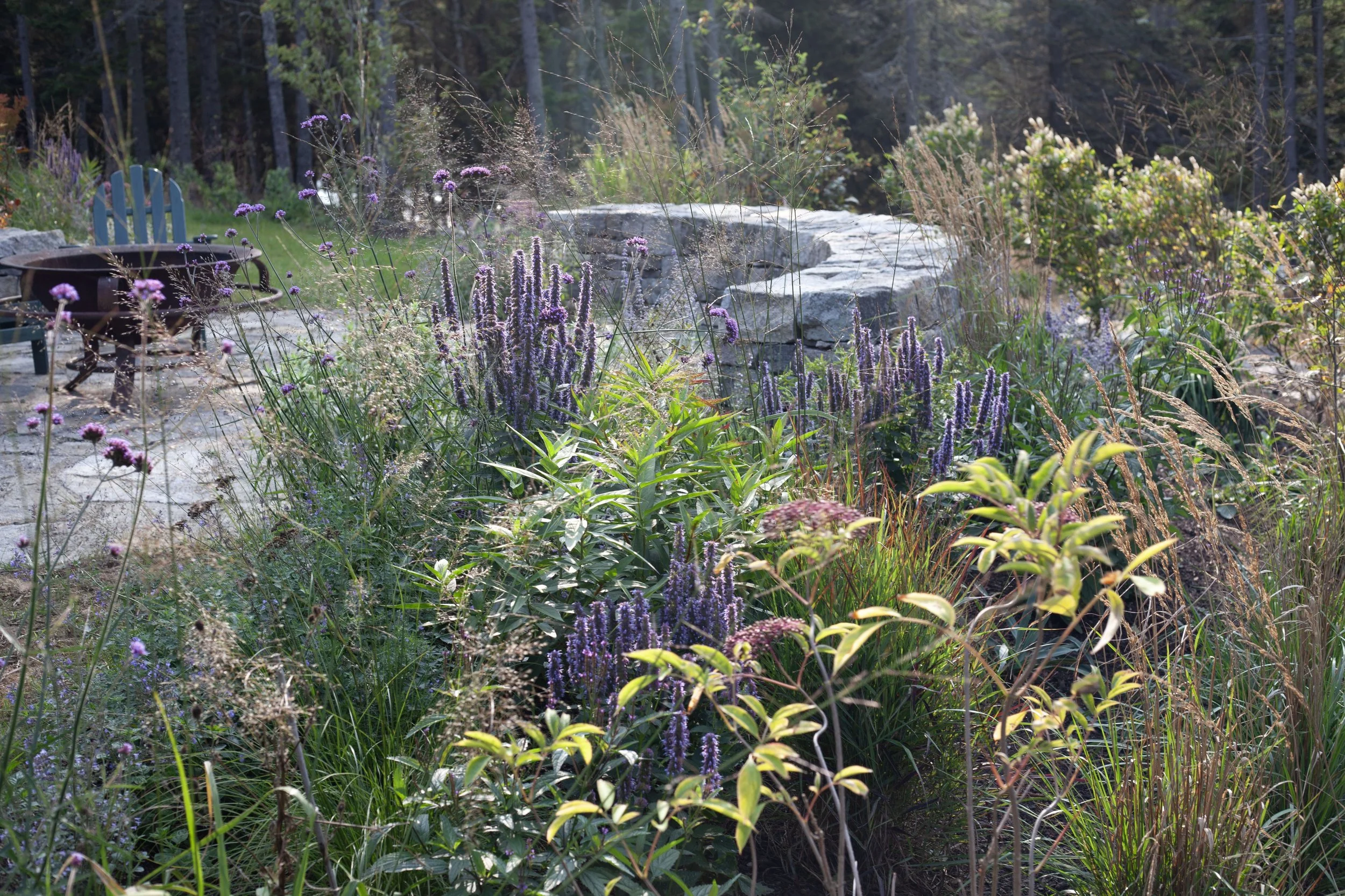Outdoor living spaces, brimming with life and beauty.