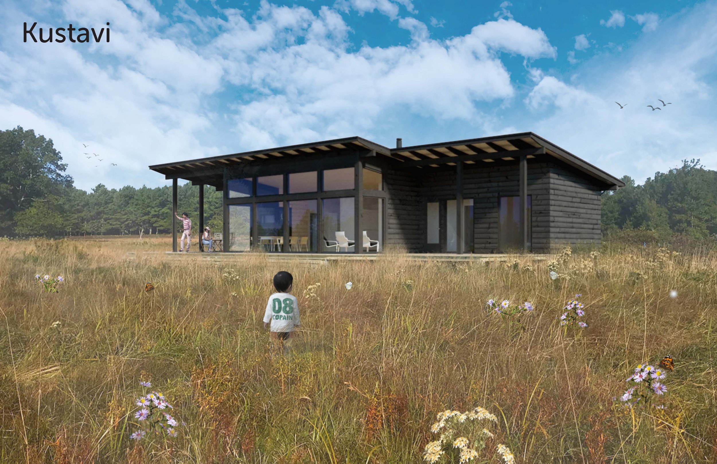 Rendering of a modern Scandinavian style home in the meadow. 