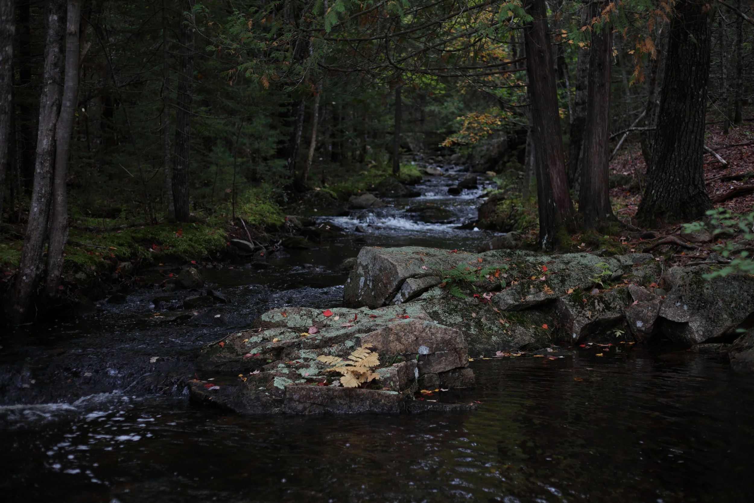 A hallowed peace where the brook is quiet. 