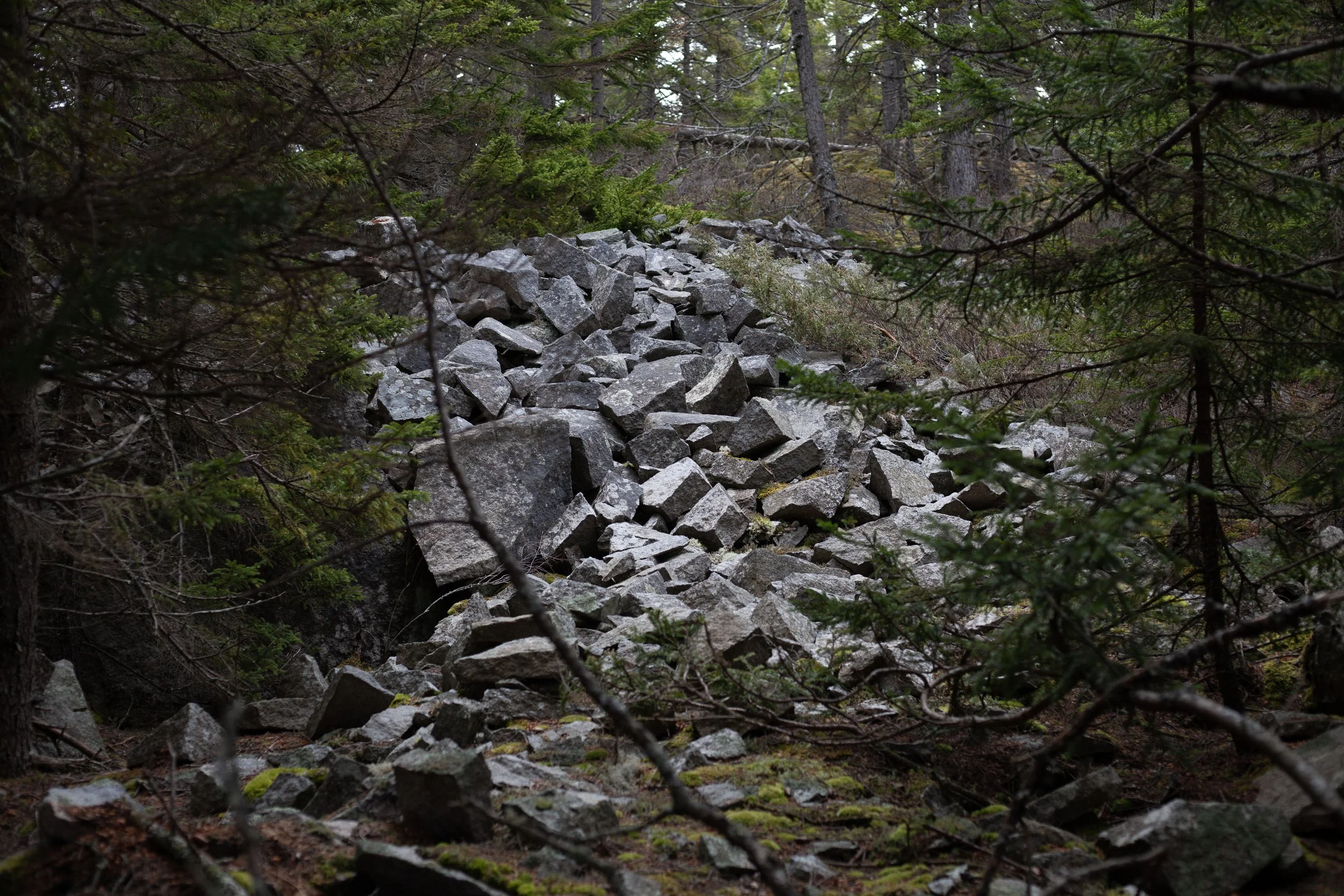Piles of granite tailings on site from the historic quarry industry, now partially grown over. 