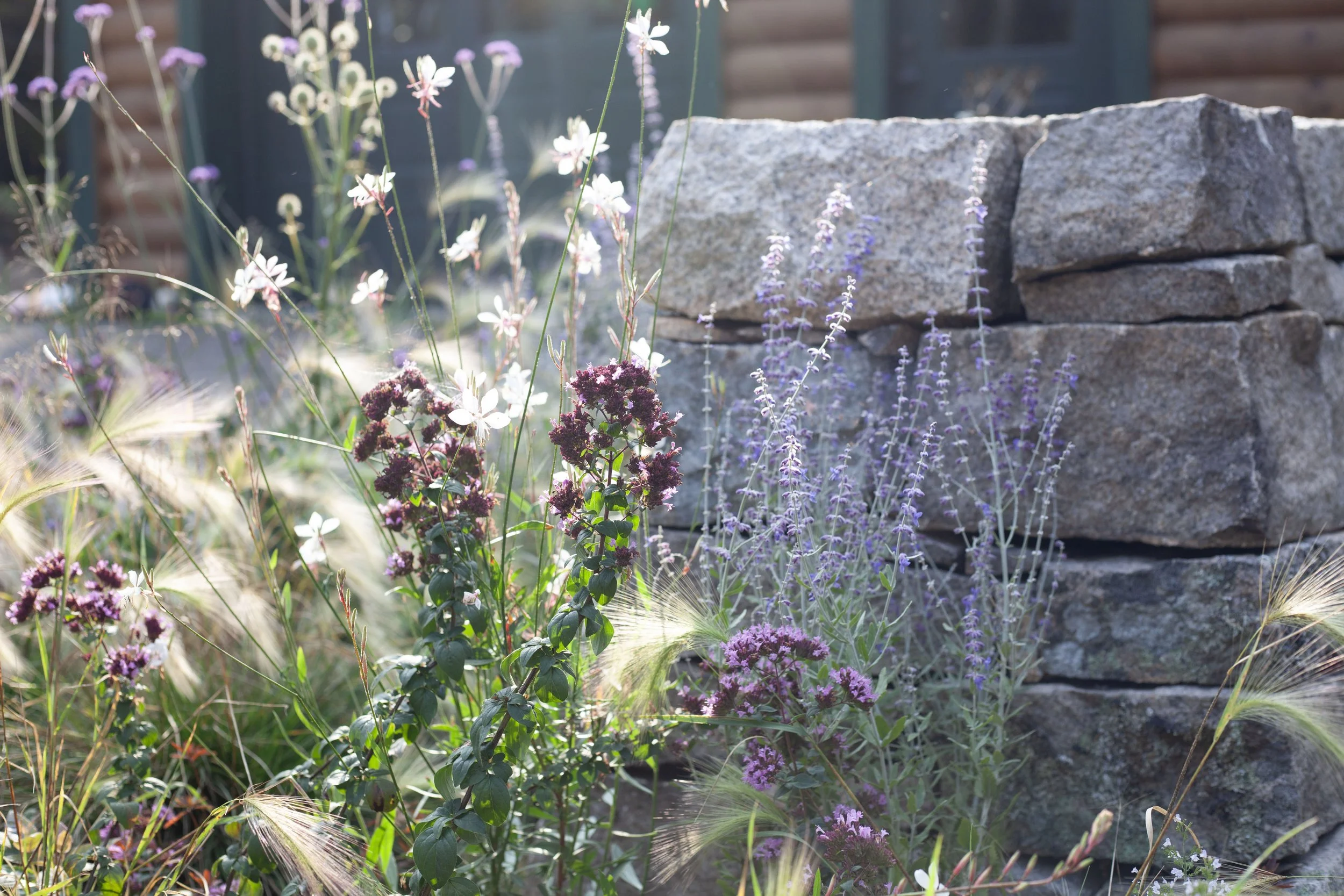 Granite wall and flowers catching the morning light. 