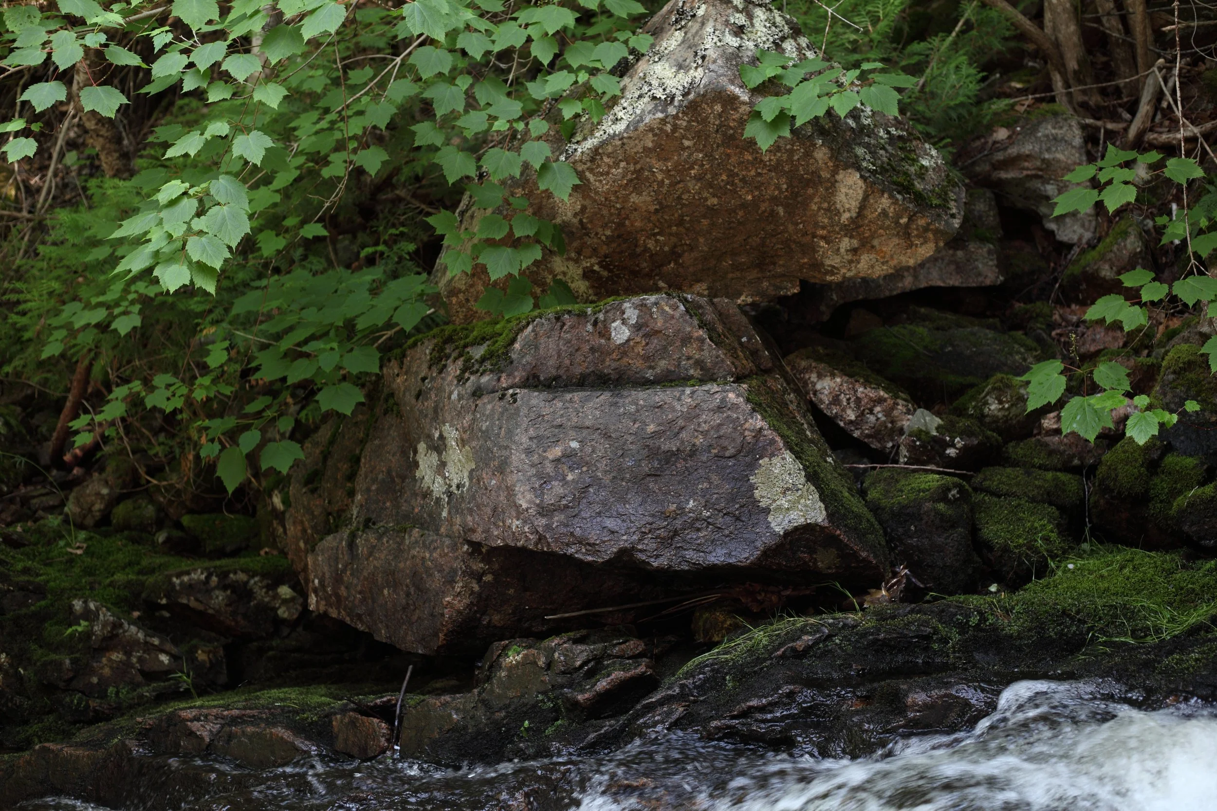 A quiet, powerful energy enshrouds the wild places of Mount of Desert Island. 