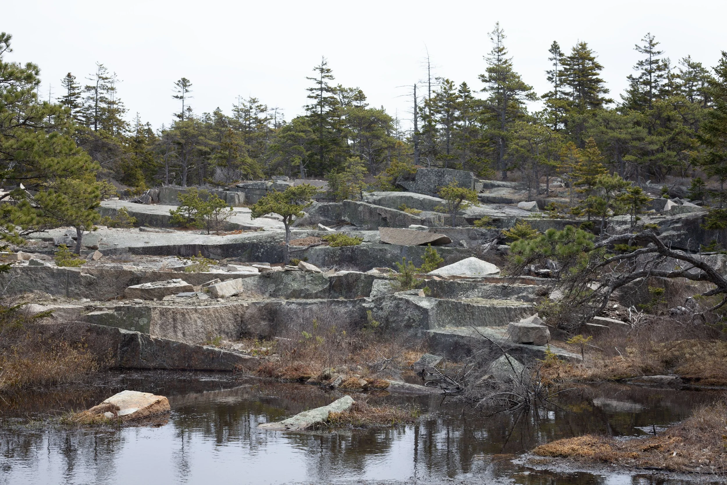 Old quarry hillside nearby. 