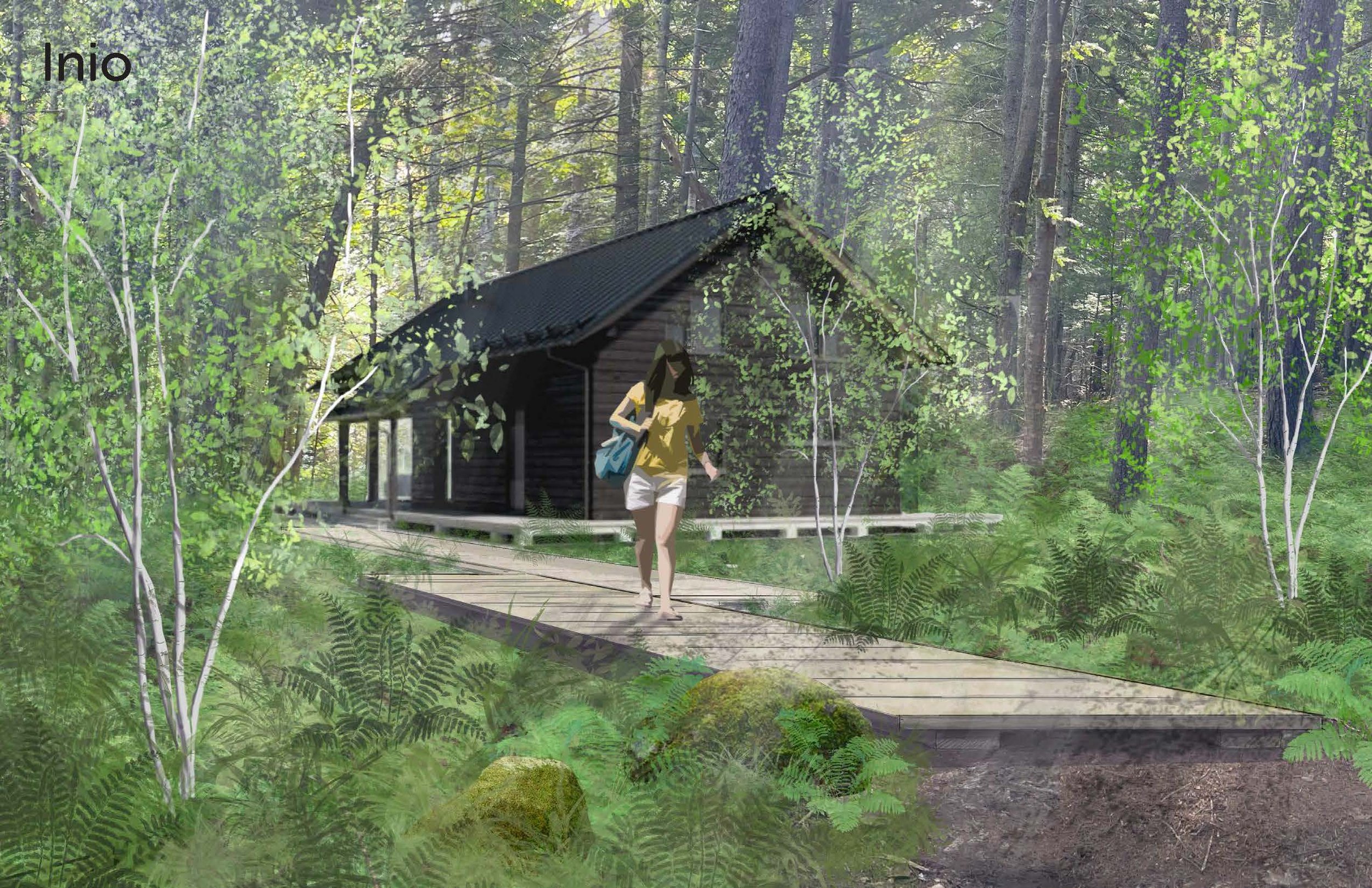 Rendering of a woodland cabin entrance with a wooden boardwalk, ferns and birch trees. 