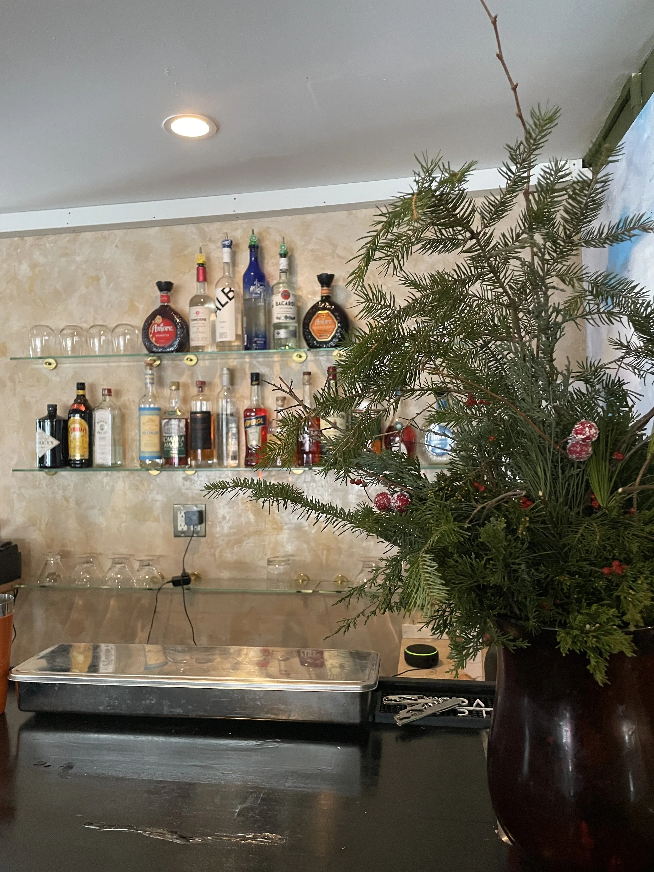 A bar shelf with various bottles of alcohol behind a countertop, a potted pine tree at Bettina Cafe Phoenicia NY near Catskill Mtns