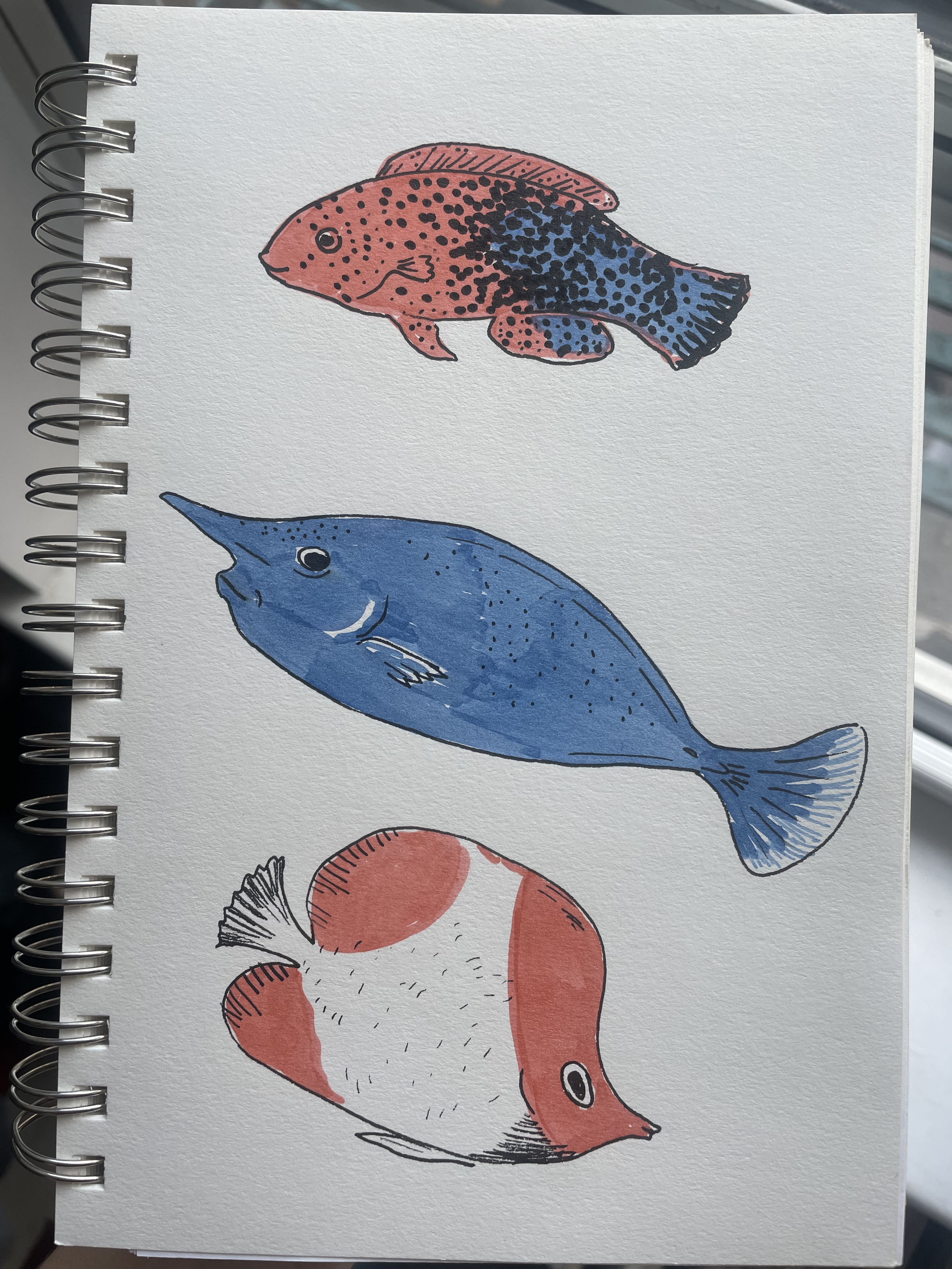 Fish 1.png